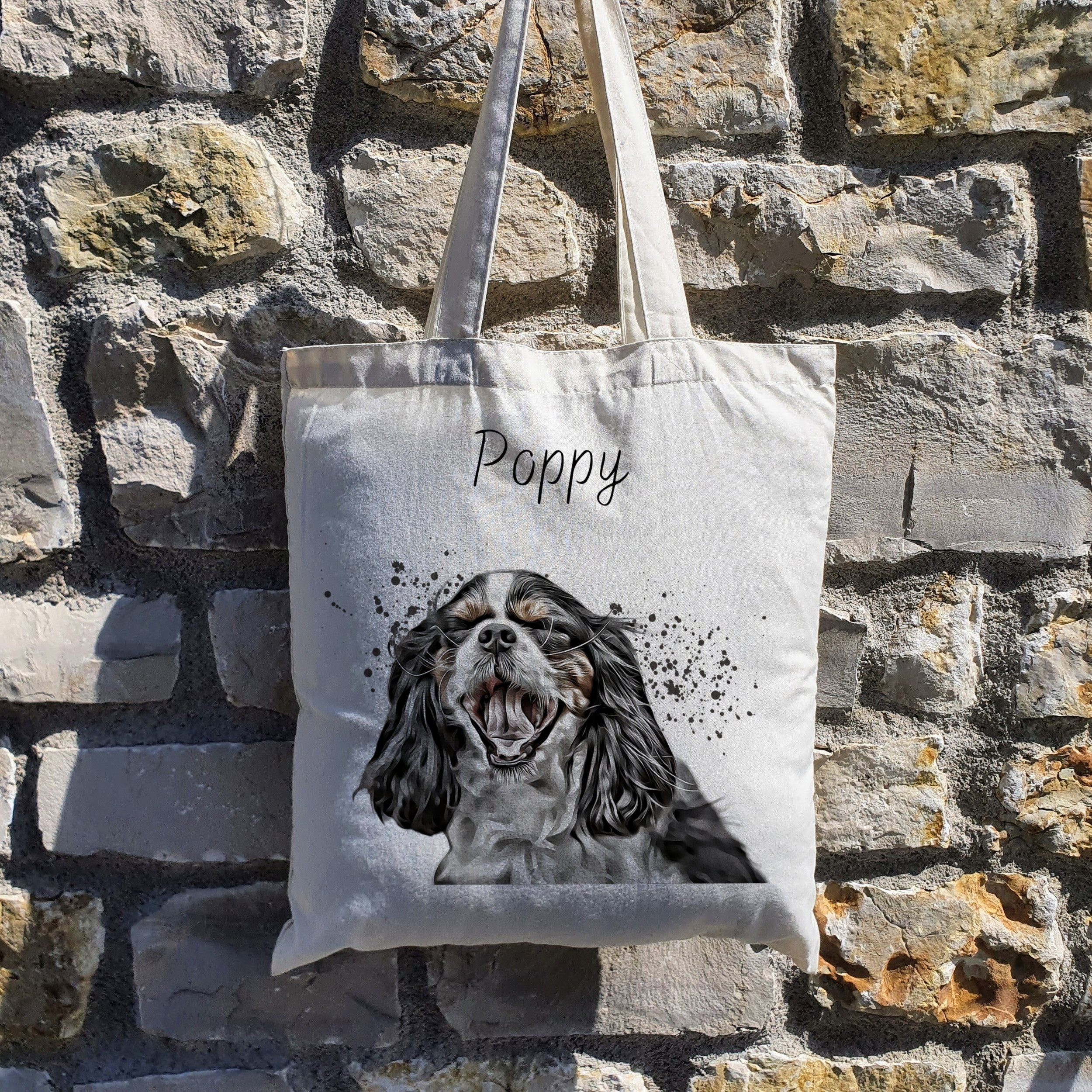 https://i.etsystatic.com/30530033/r/il/3f6ee9/5228785610/il_fullxfull.5228785610_emyo.jpg