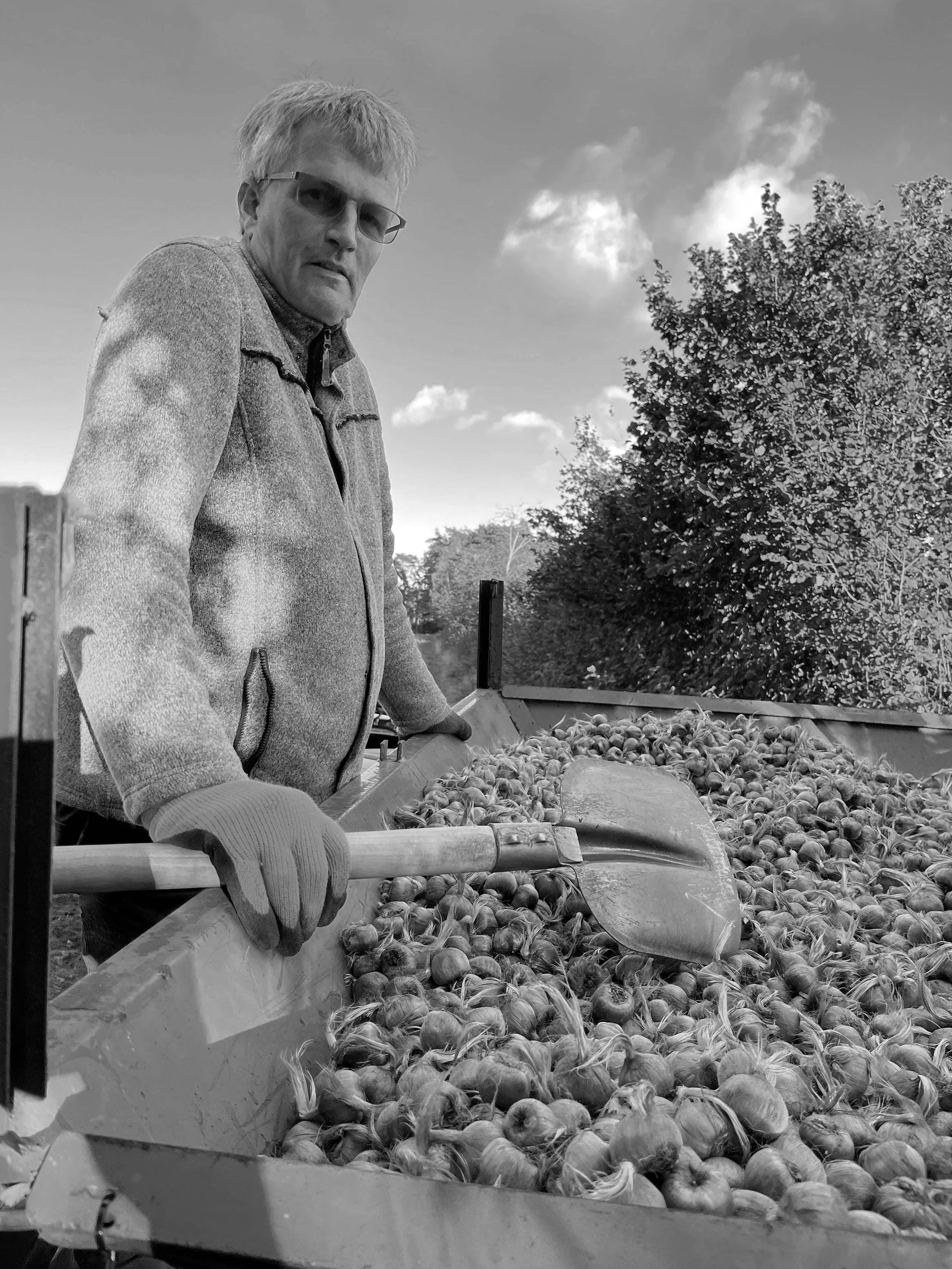 Agricultural manager saffron expert