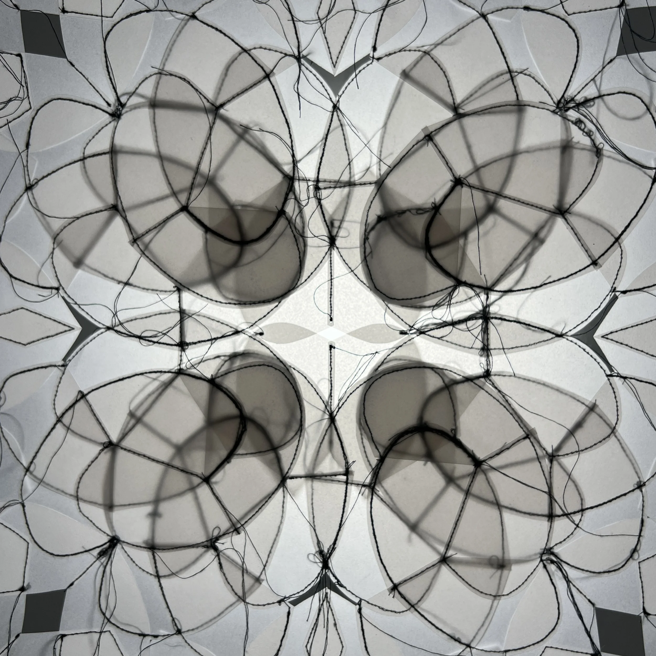 Roh 6 detail square 2.jpg