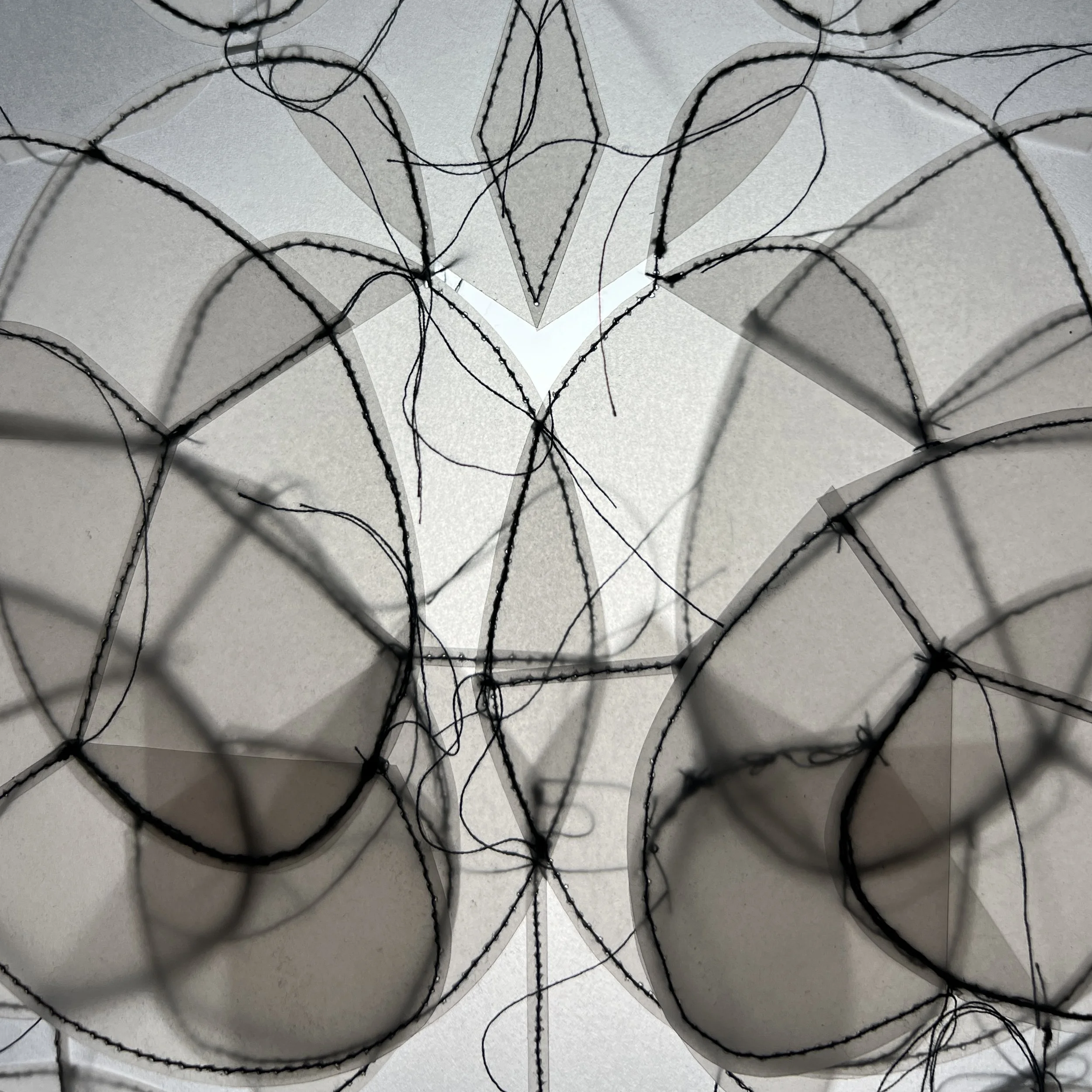 Roh 6 detail square 1.jpg