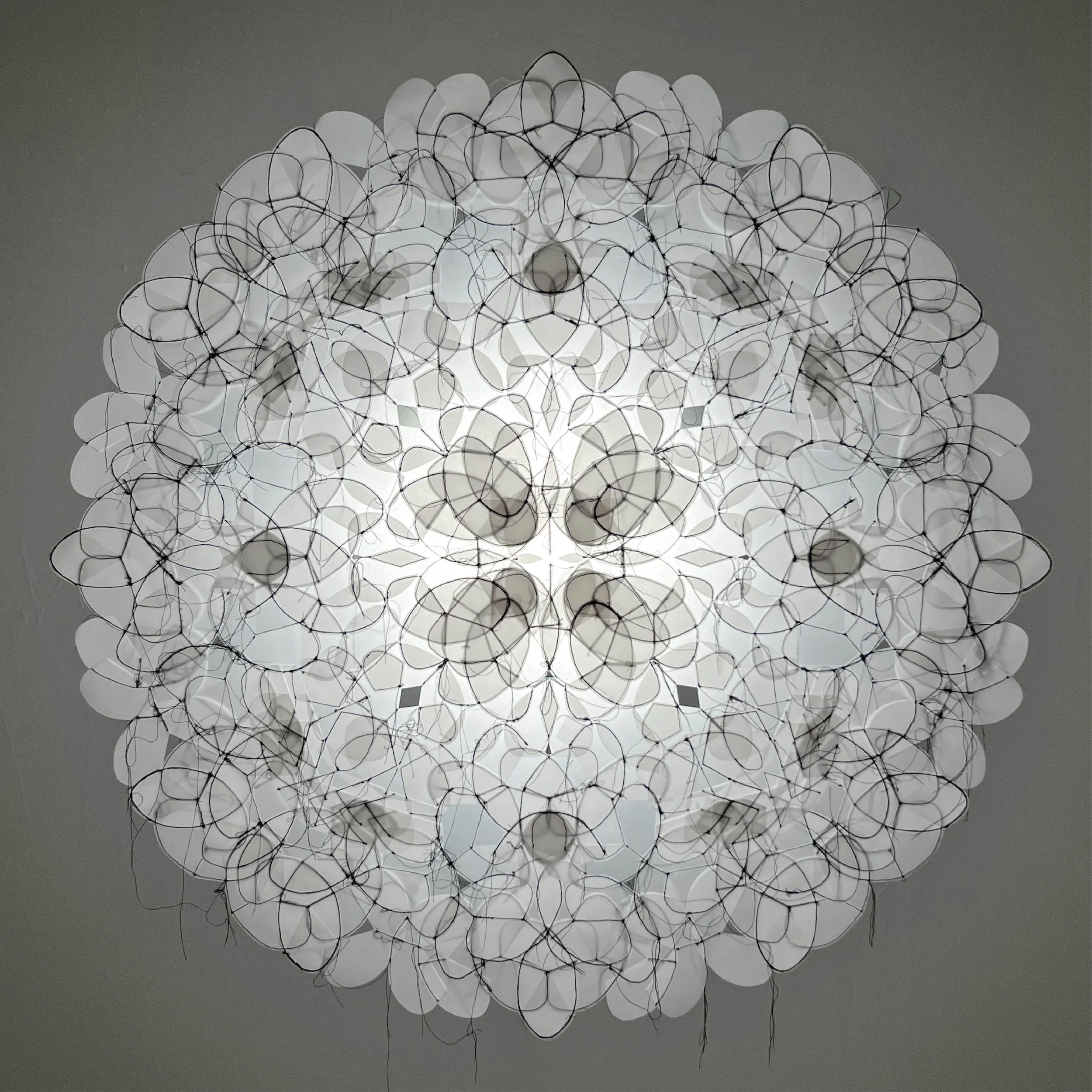 Roh 6 bearbeitet + cropped.jpg