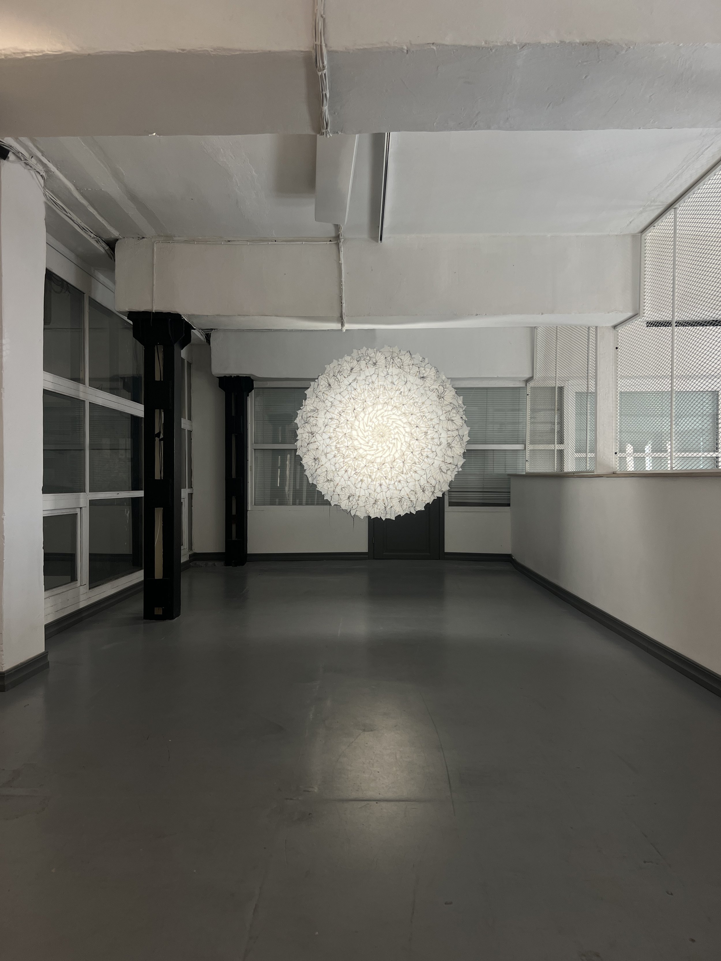 IMG_6339 2 bearbeitet.jpg