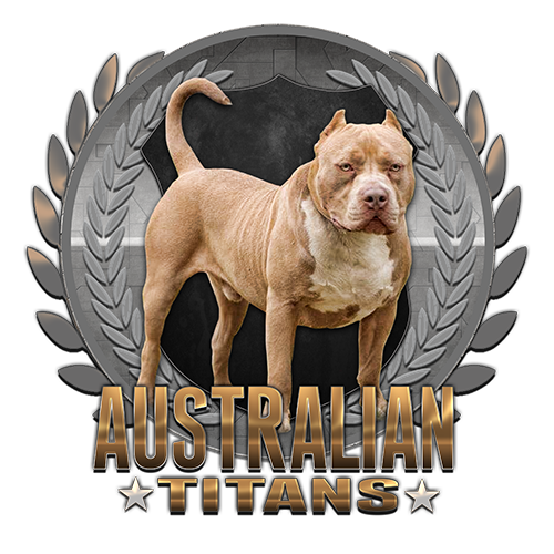 Australian Titan Bullys