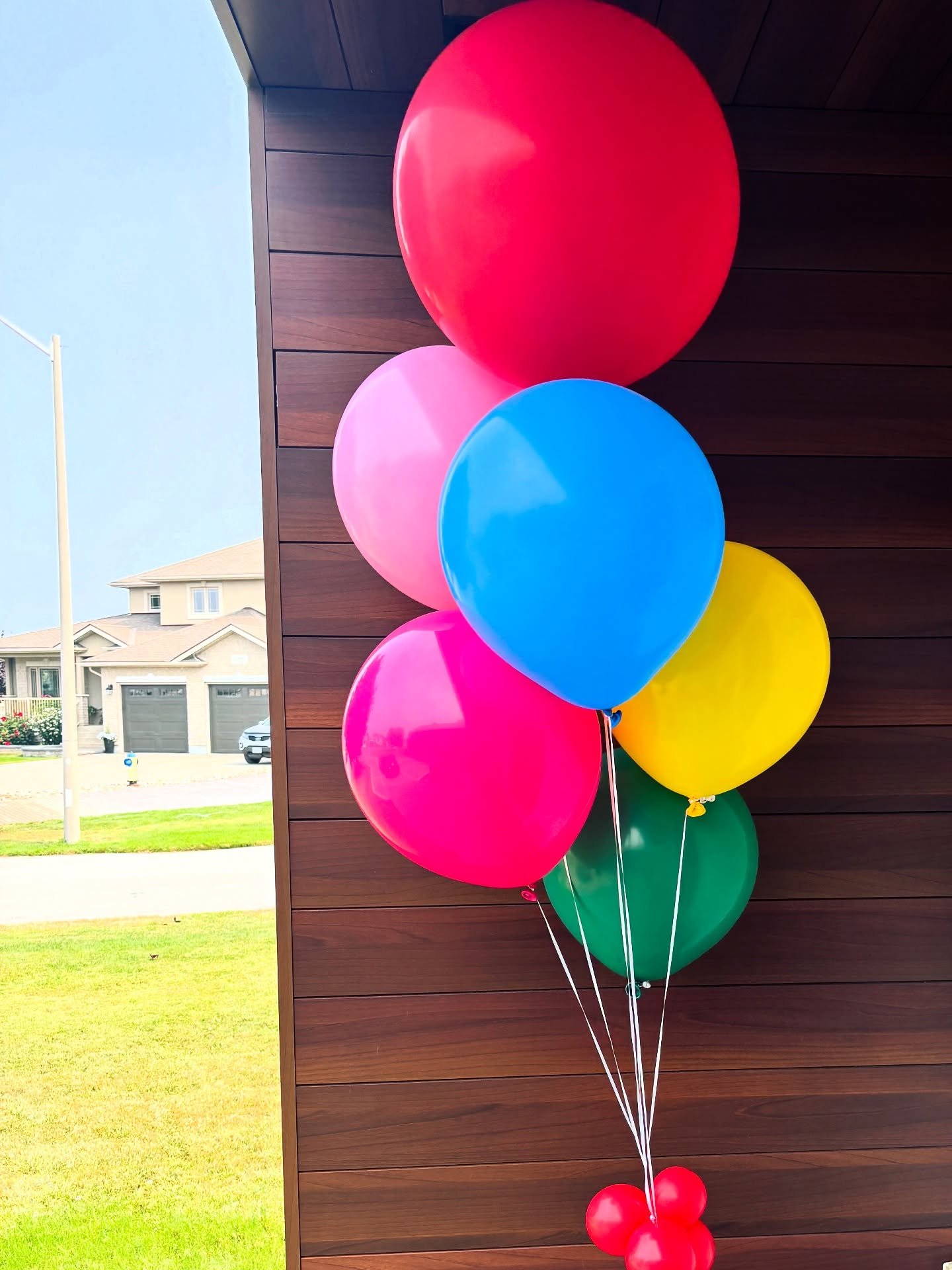 🌈🌈 using @tuftexballoons from @balloons_online