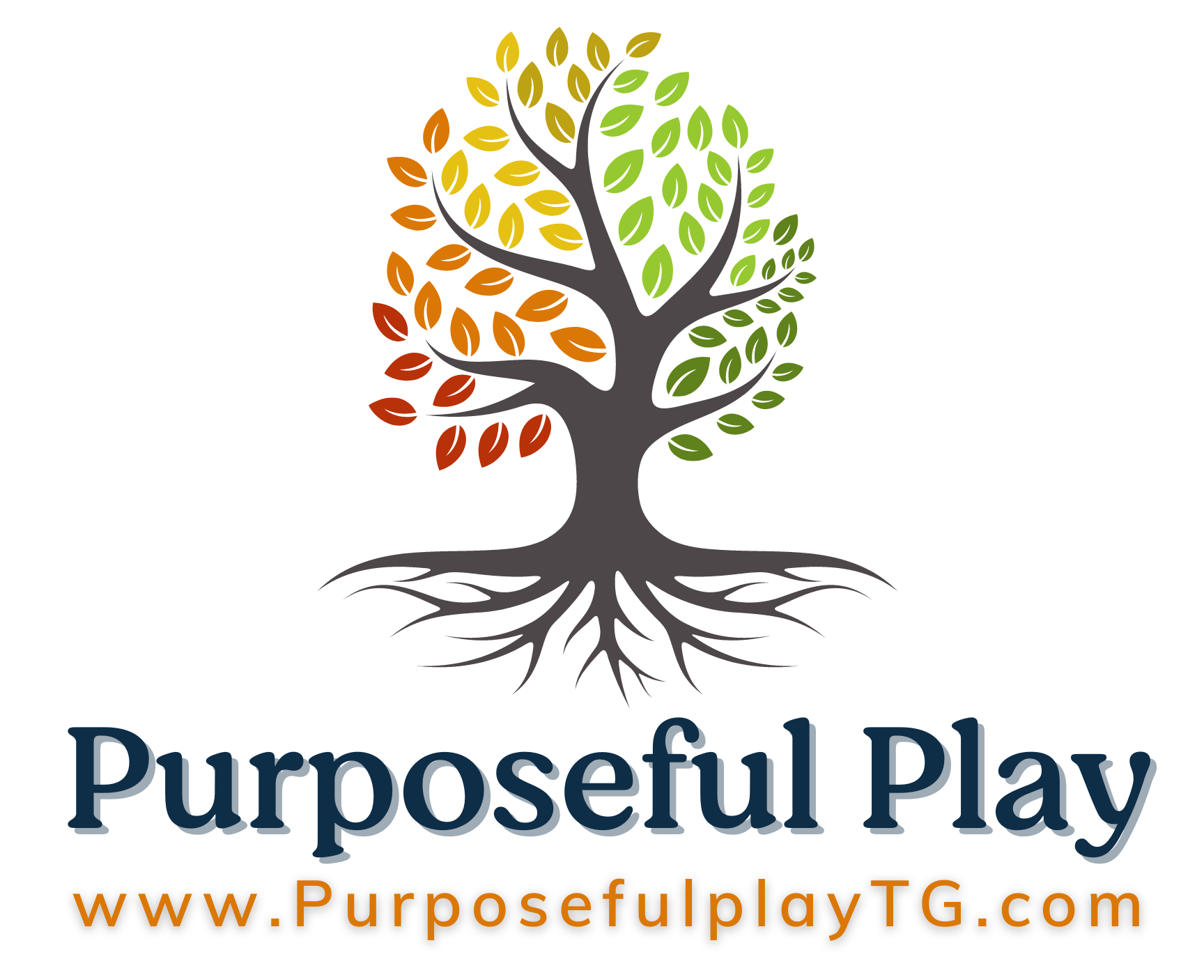 Purposeful Play Logo_large with website.png