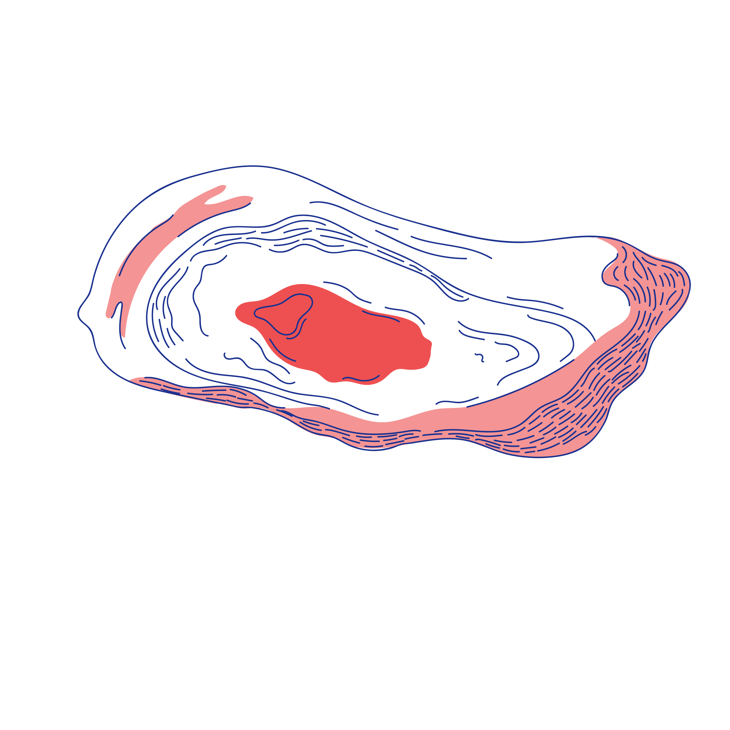 Edible issue 35 illustrations-14.png