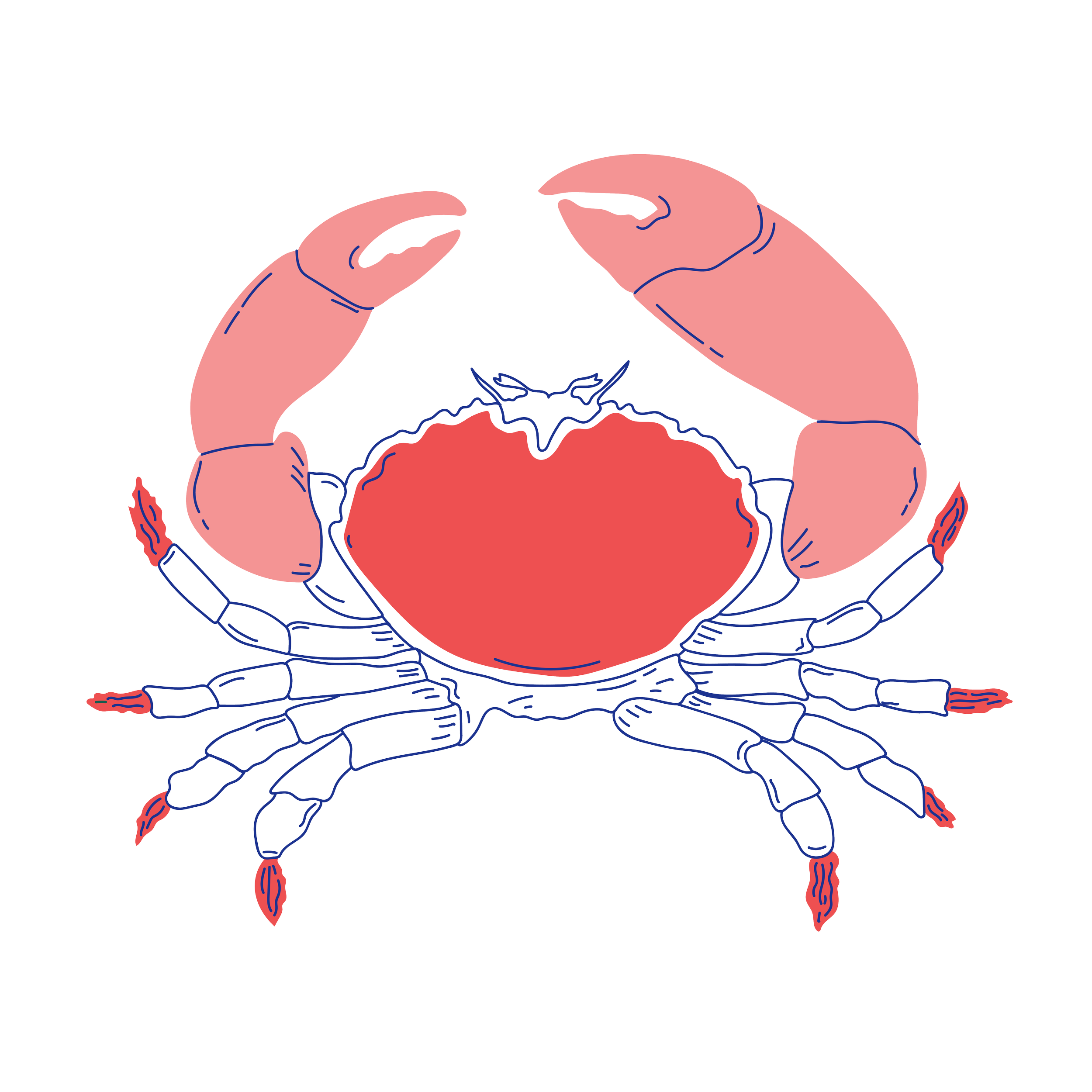 Edible issue 35 illustrations-04.png