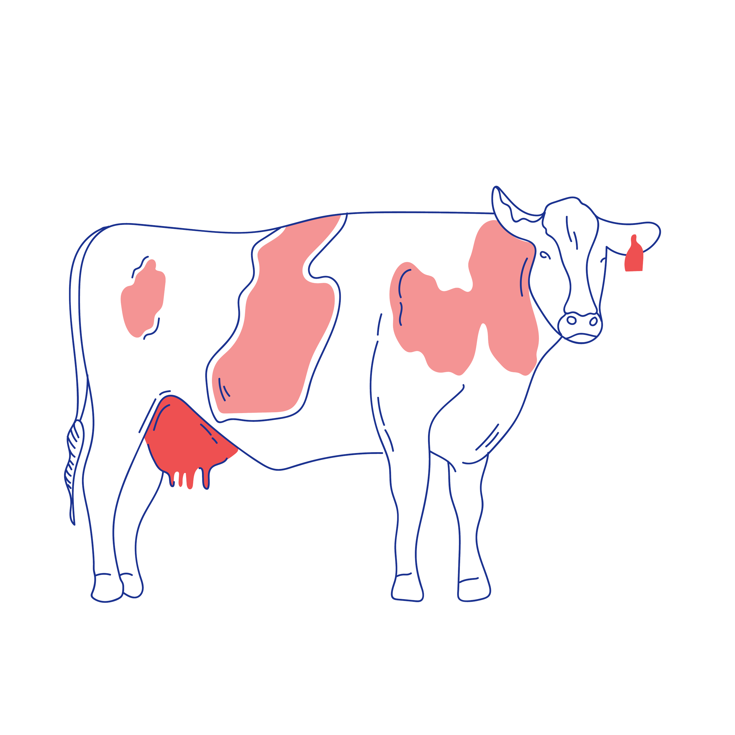 Edible issue 35 illustrations-12.png