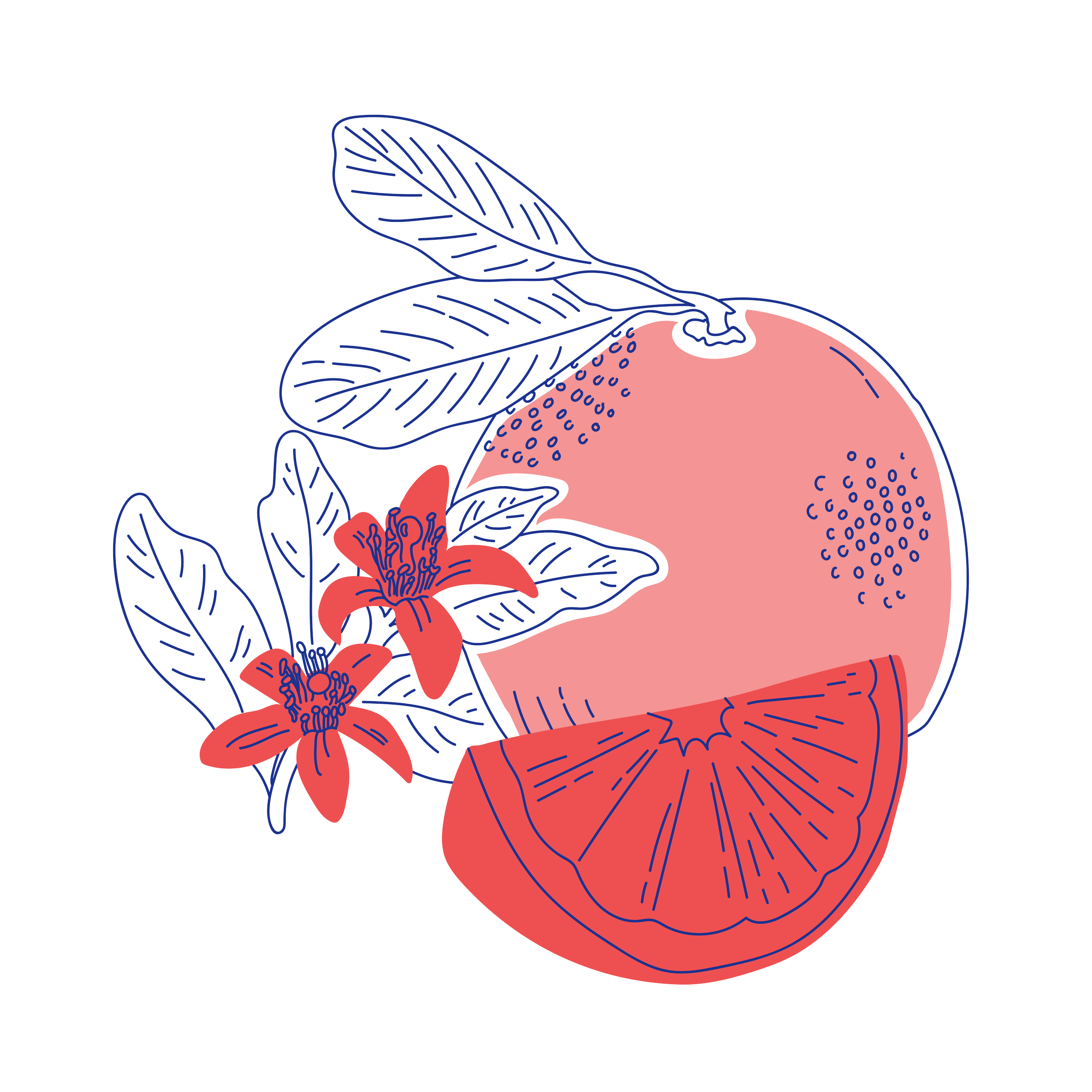 Edible issue 35 illustrations-11.png