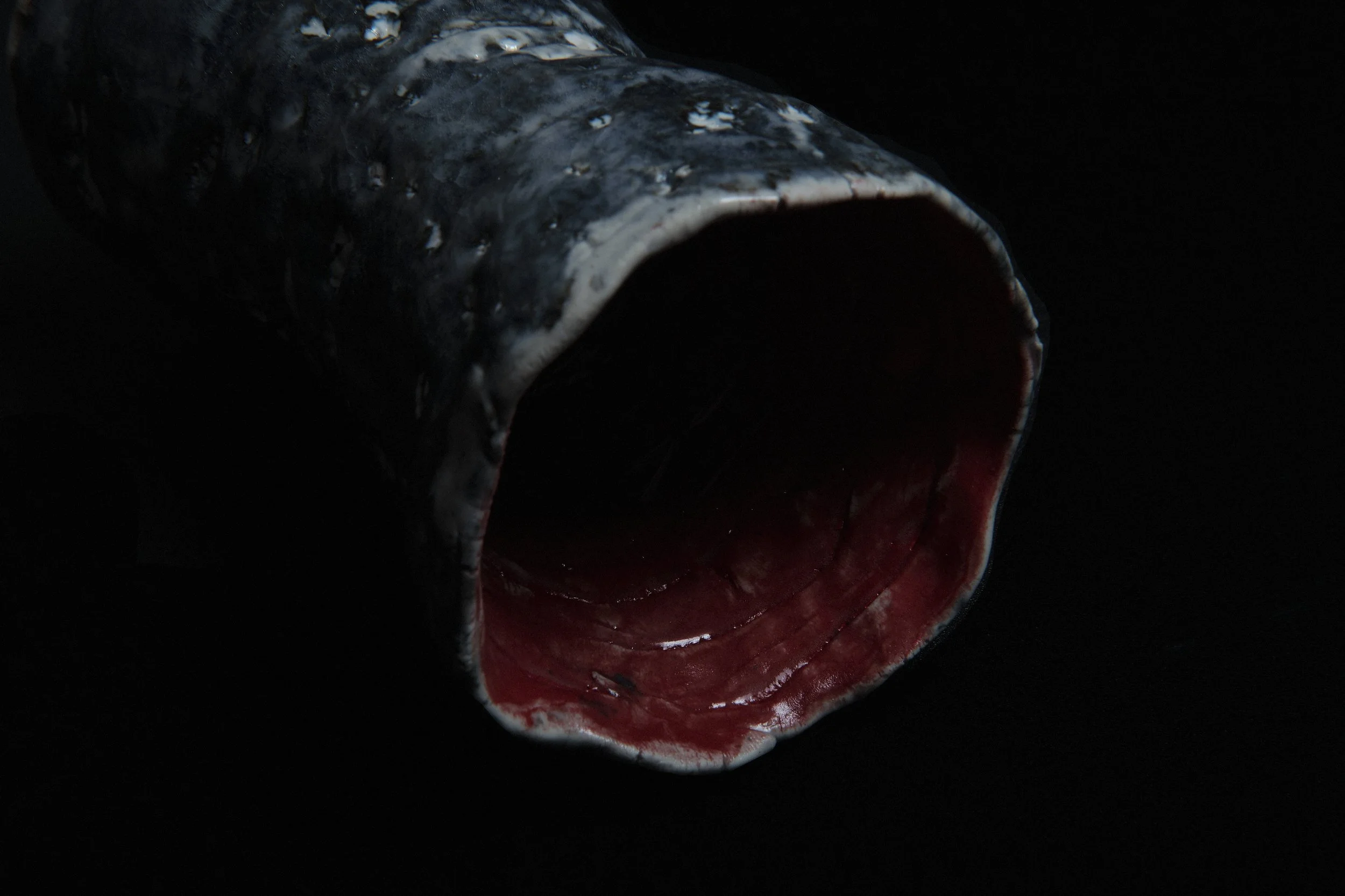 DSCF2756 1.jpg