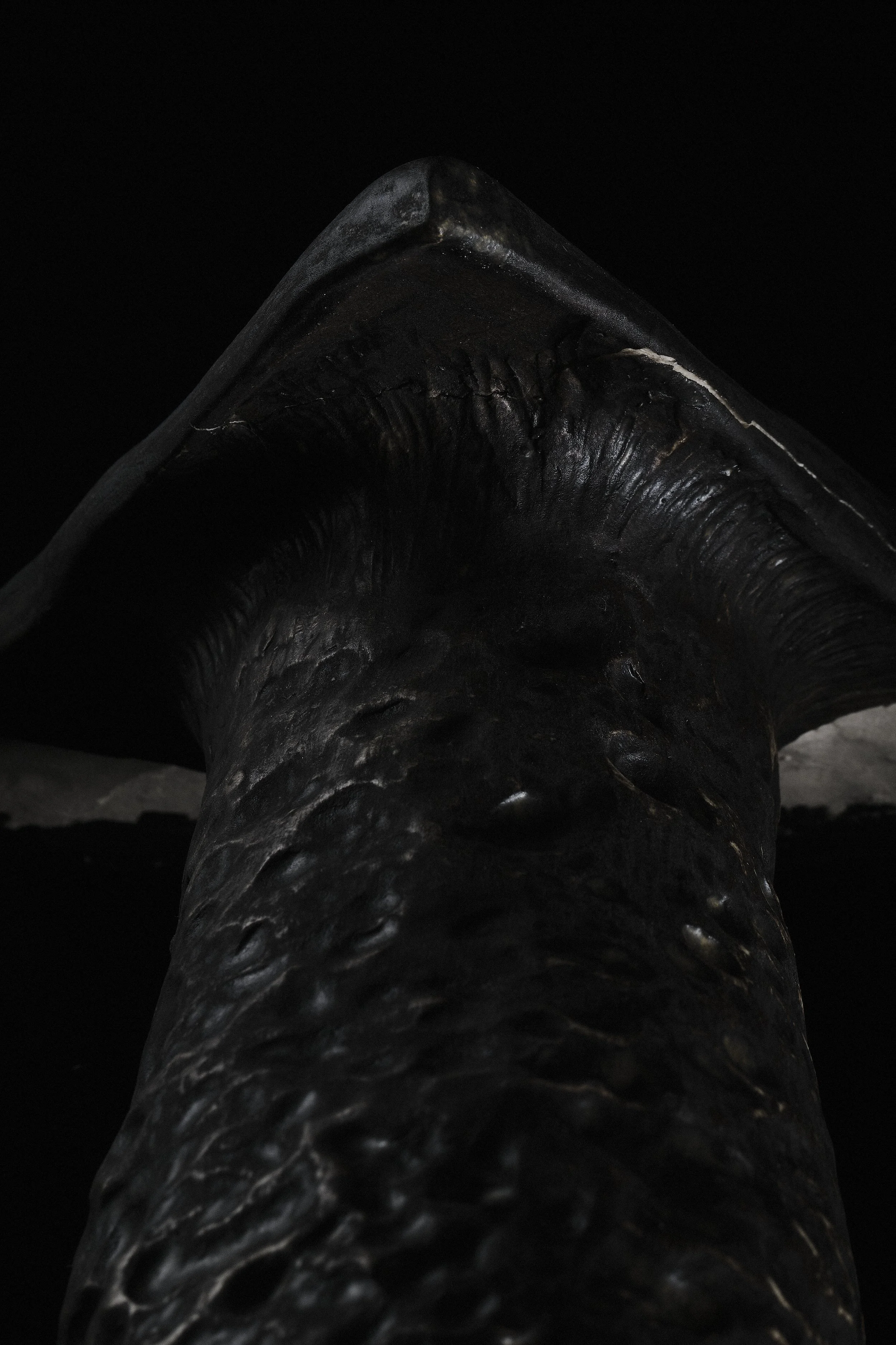 DSCF3870.jpg