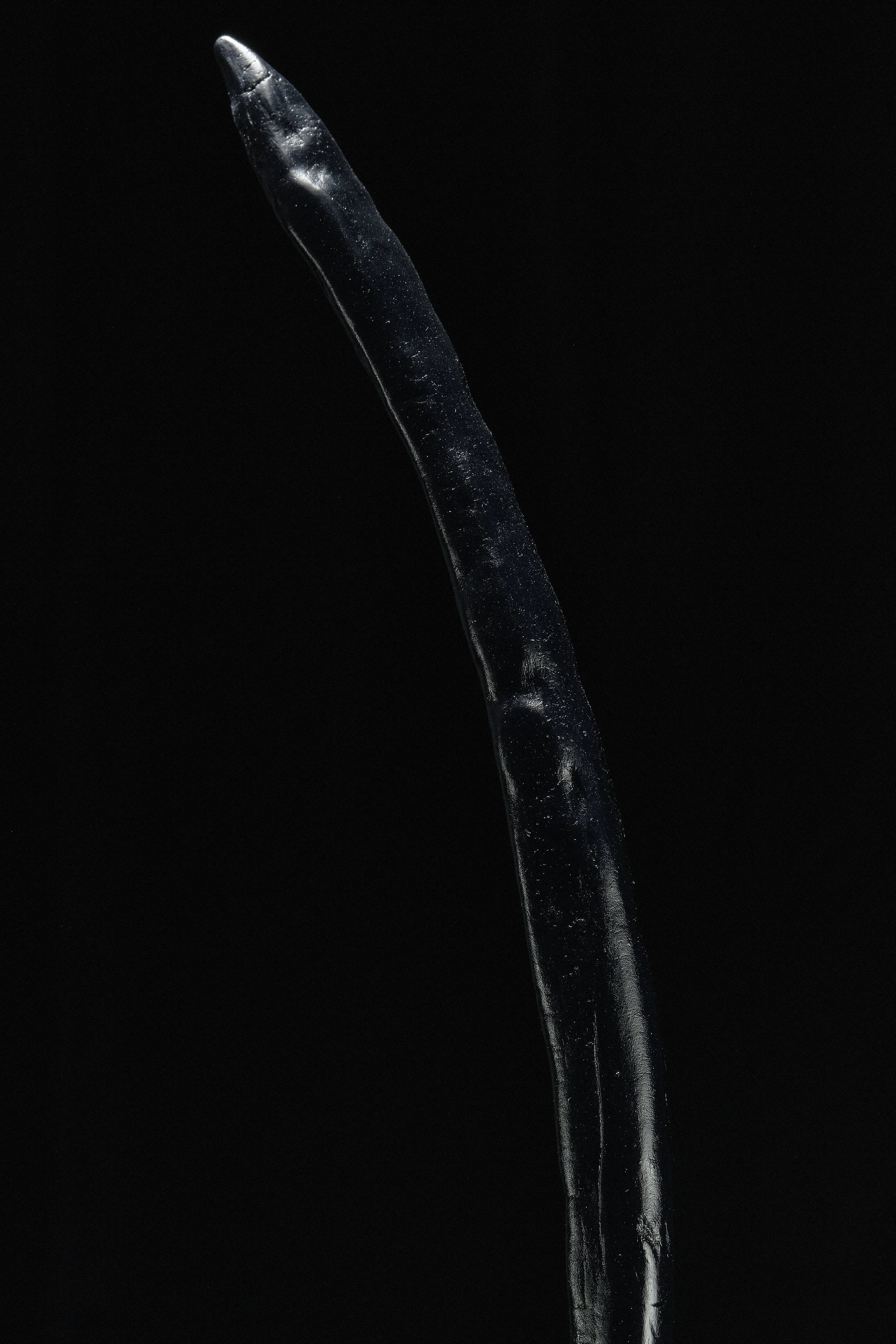 DSCF5518.jpg