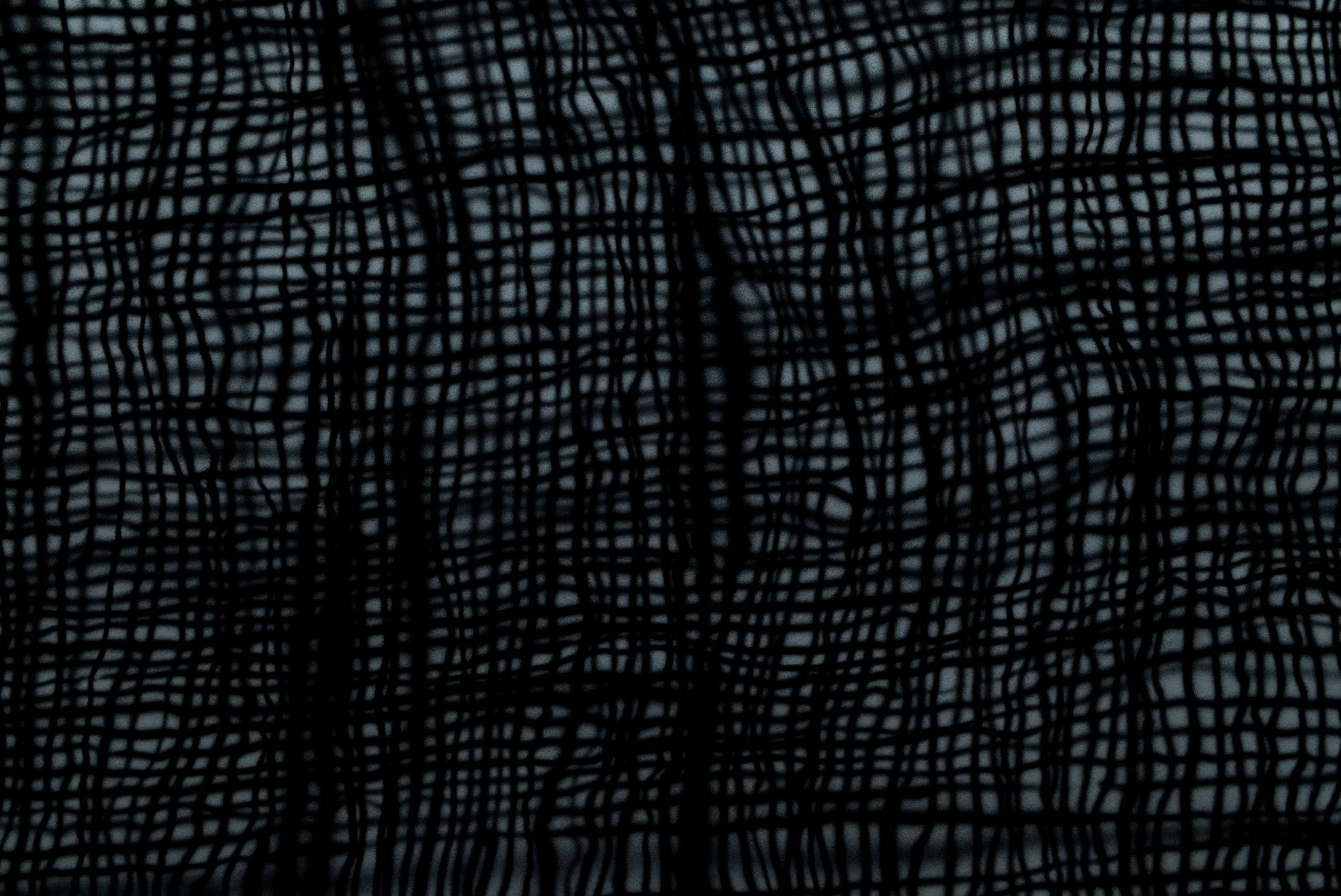 Fog (view from inside), 2026
