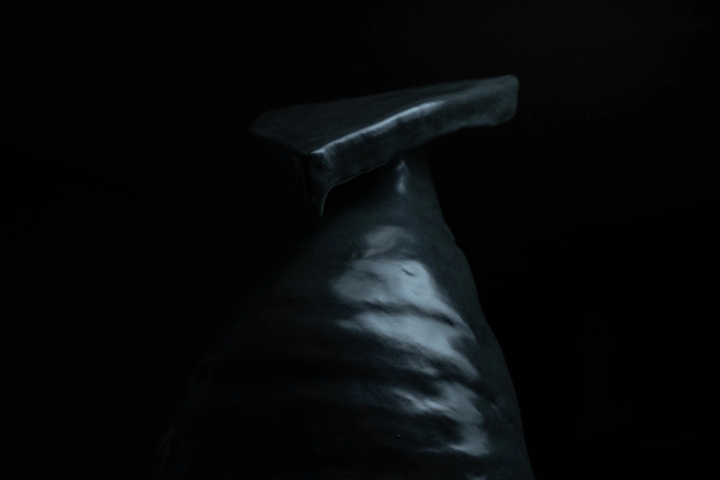 DSCF1597.jpg