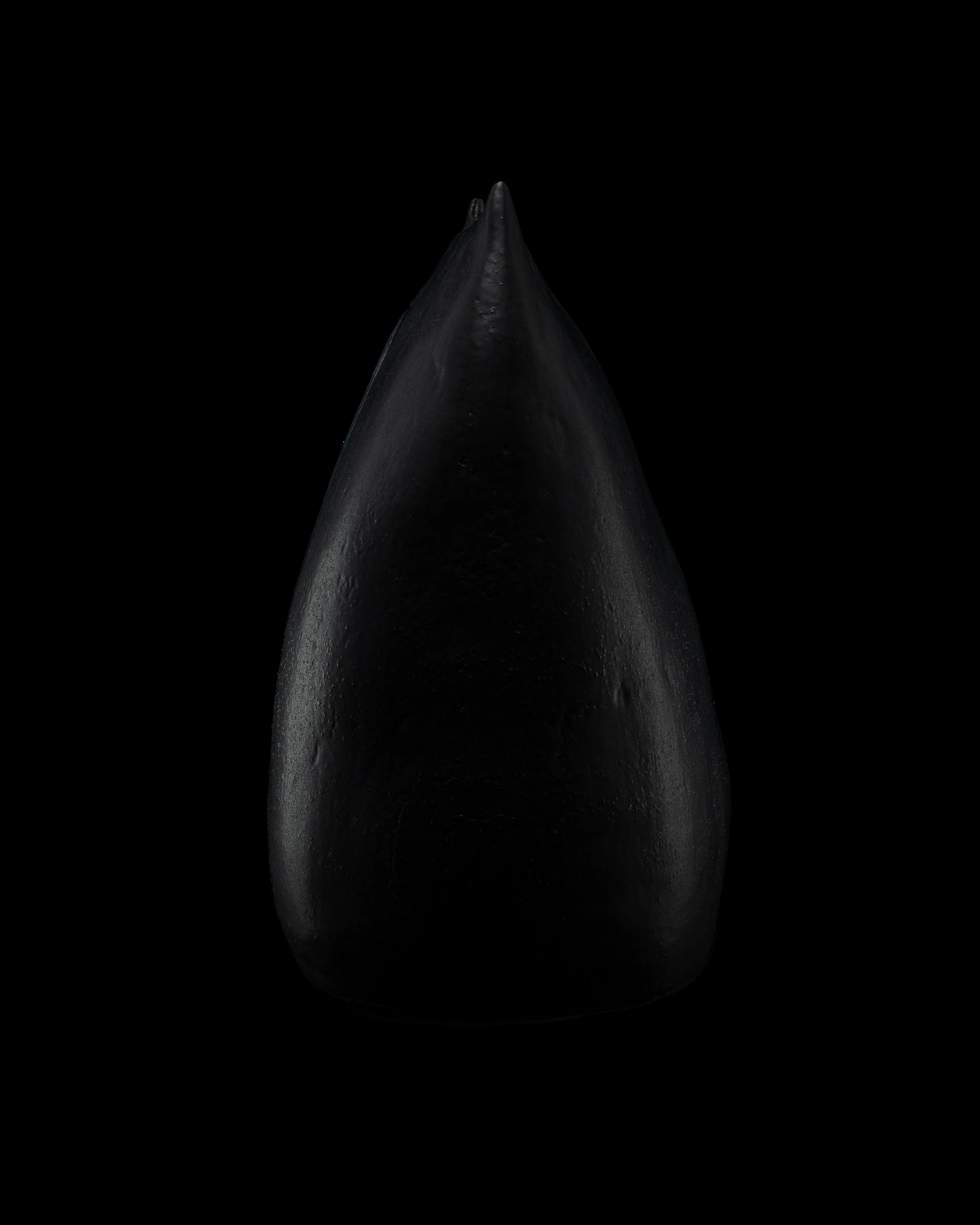 DSCF8584-Edit.jpg