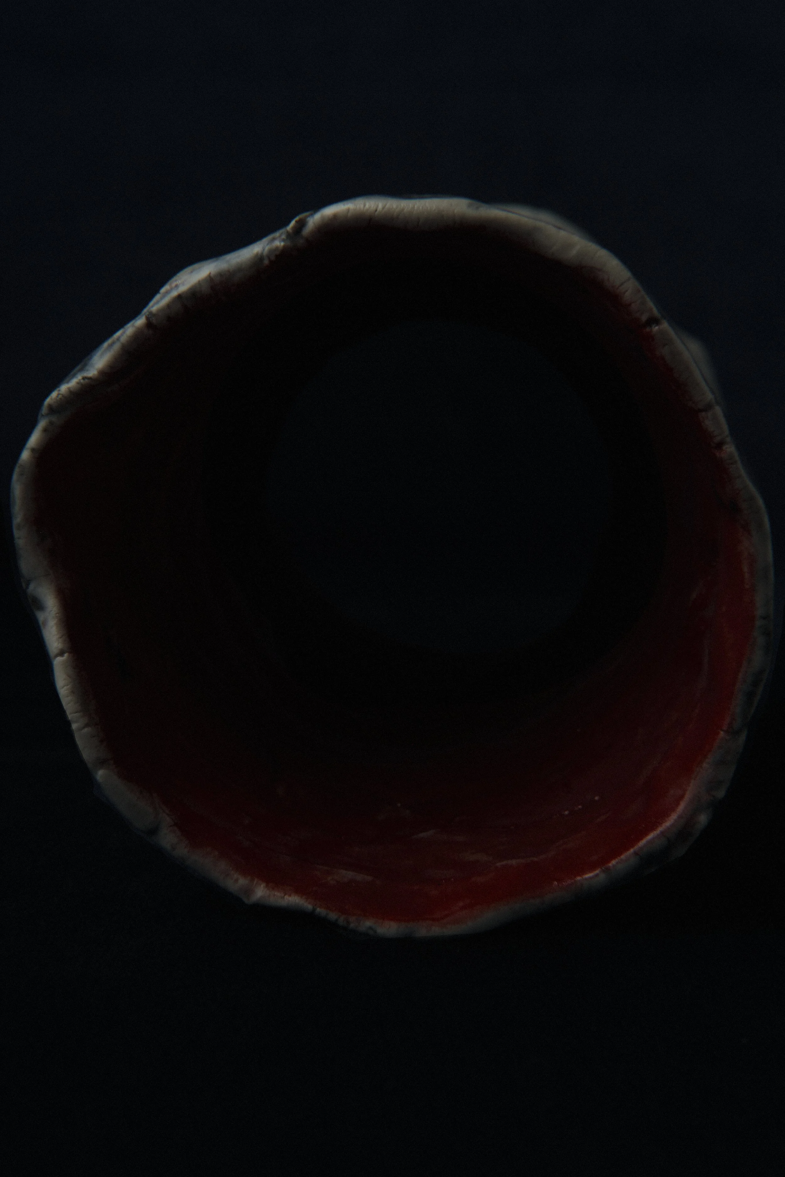 DSCF2826.jpg