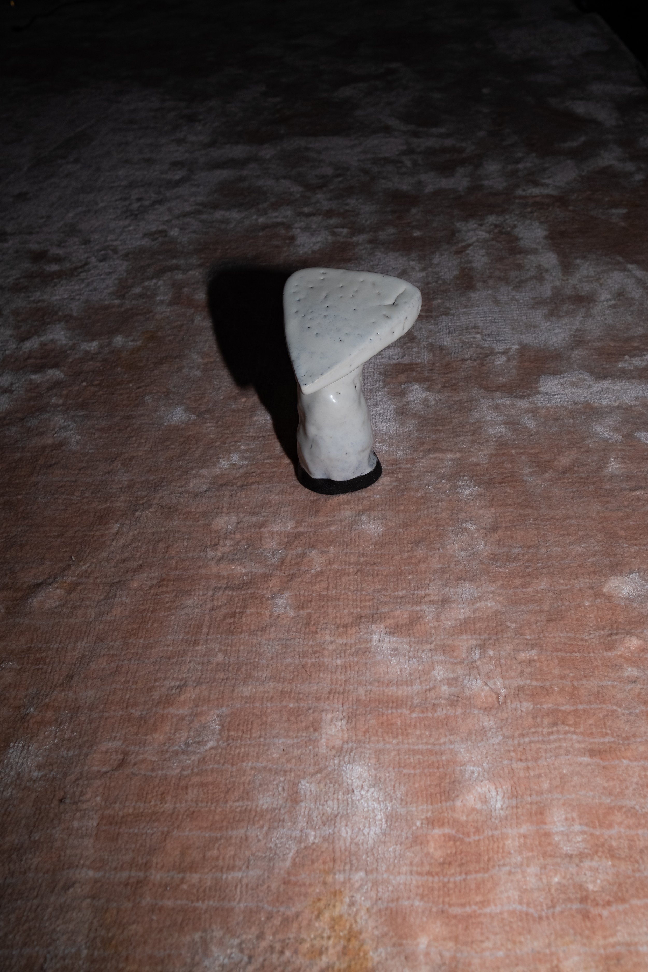 DSCF9906.jpg