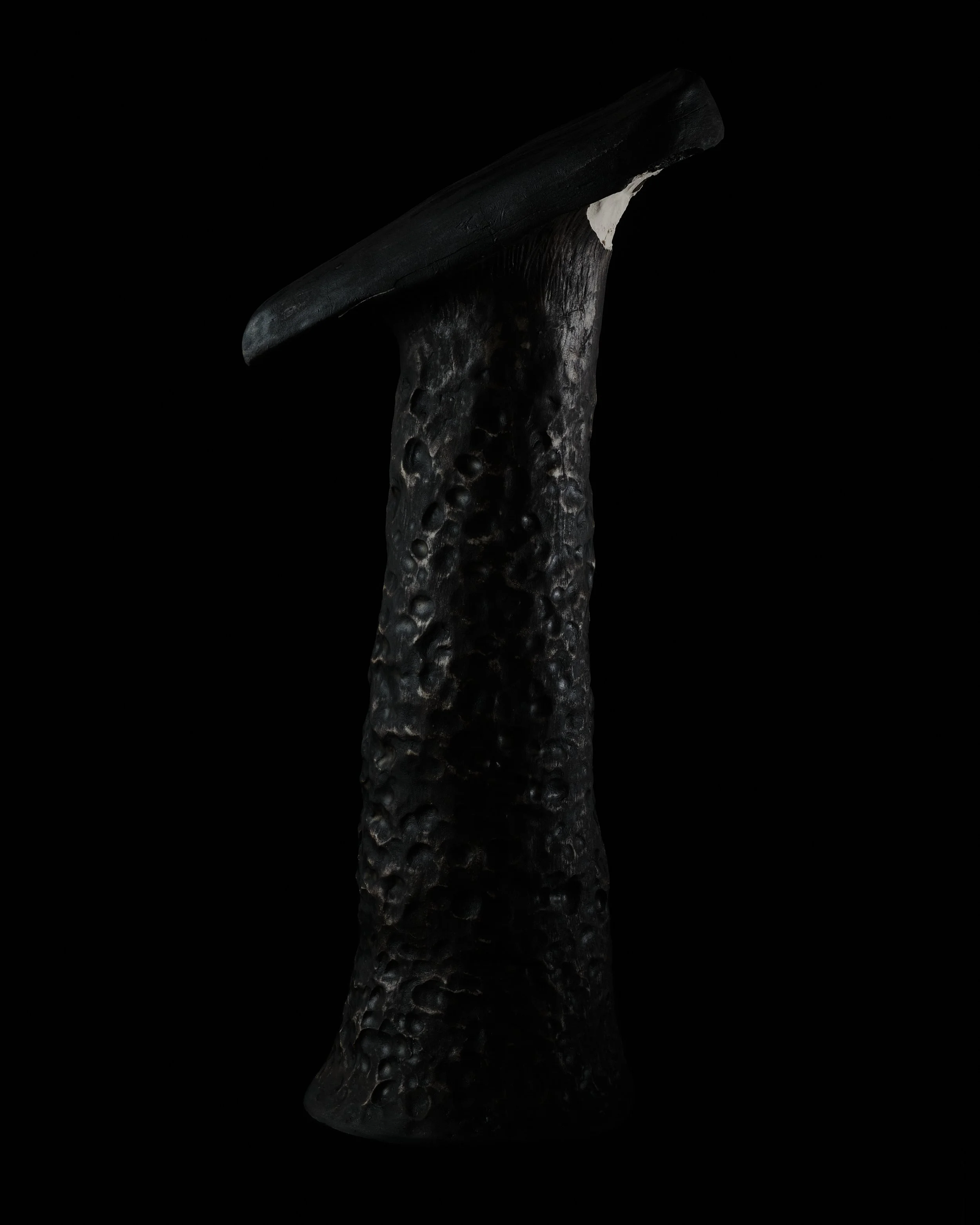 side2.jpg