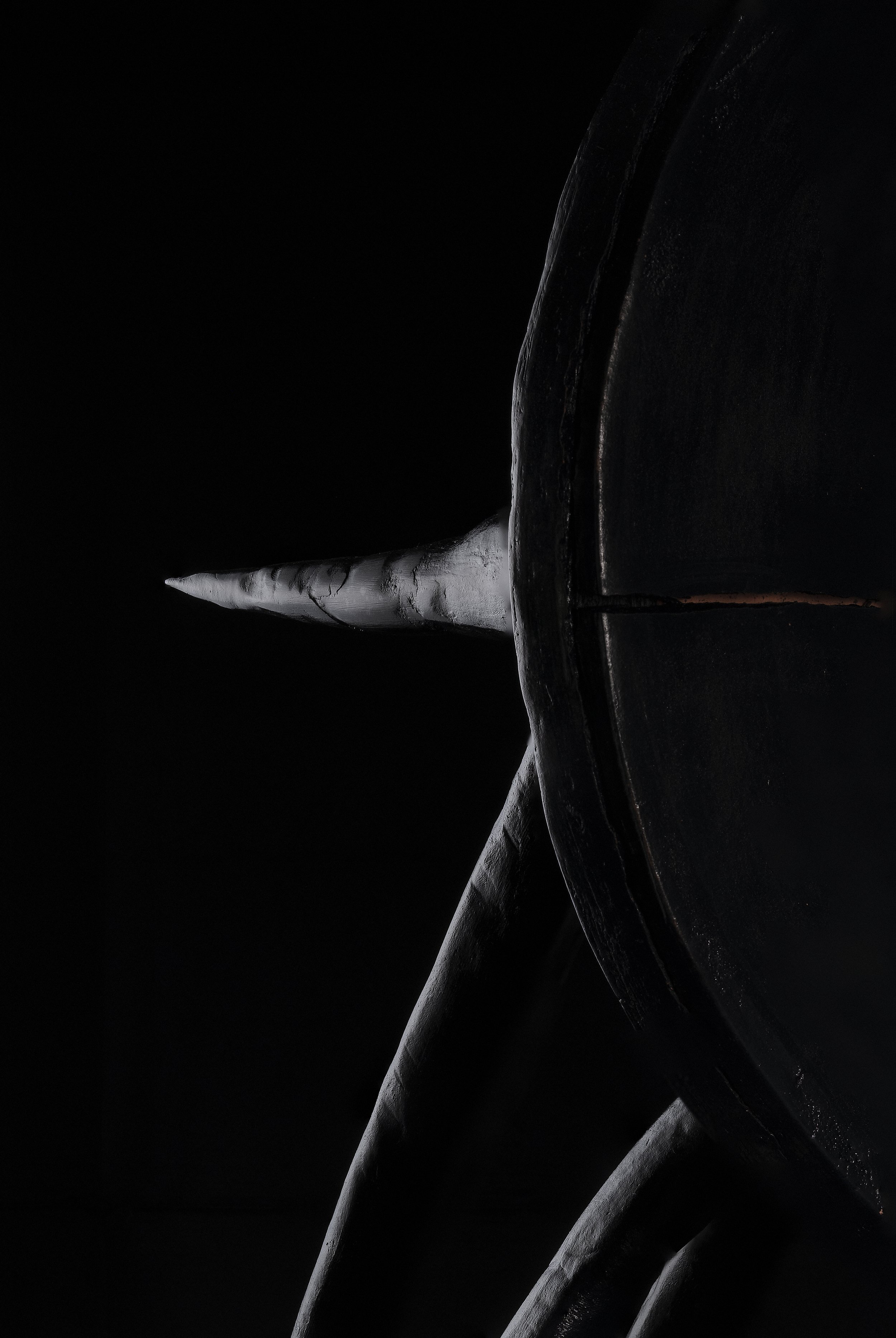 DSCF6306 1.jpg