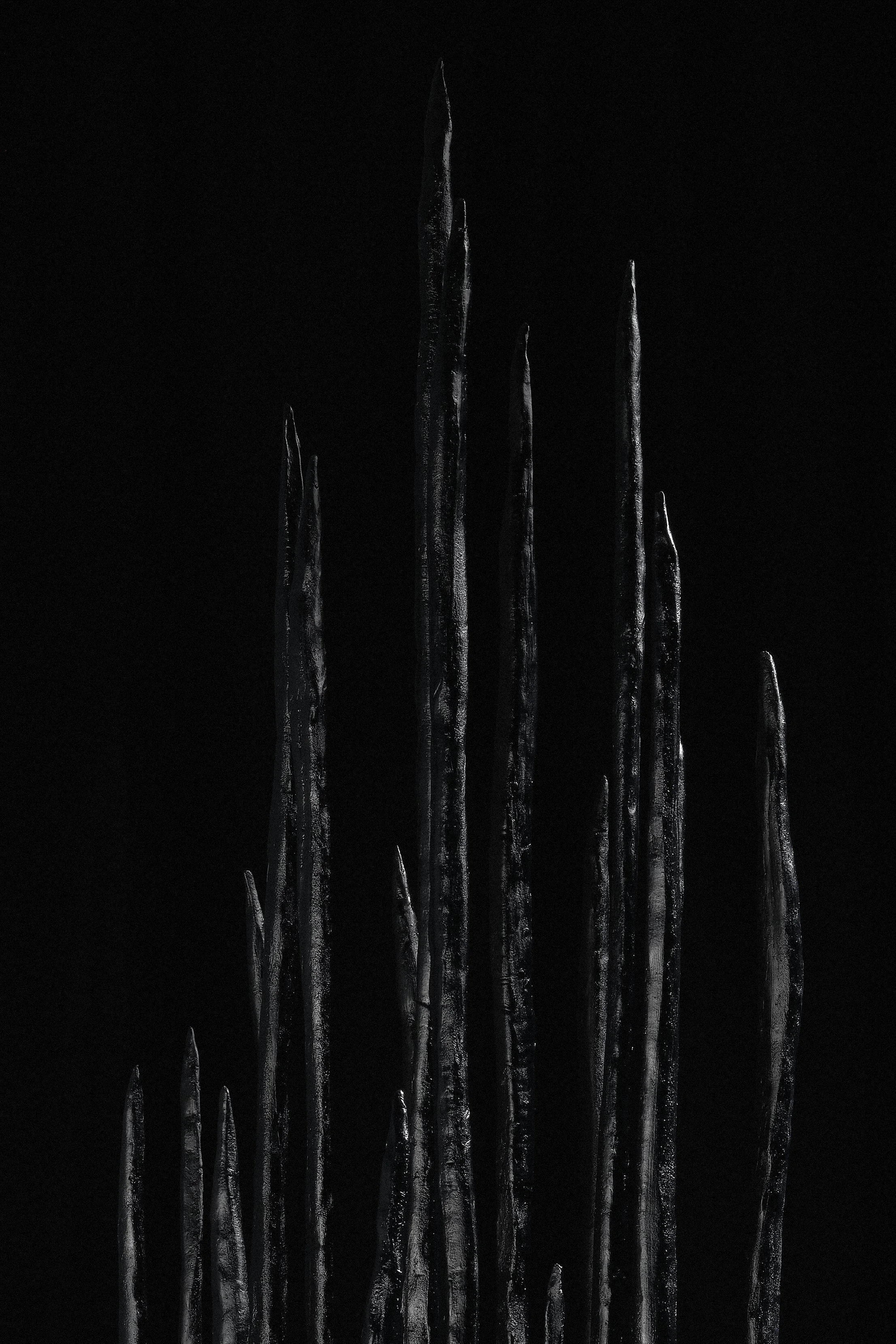 DSCF6784 1.jpg