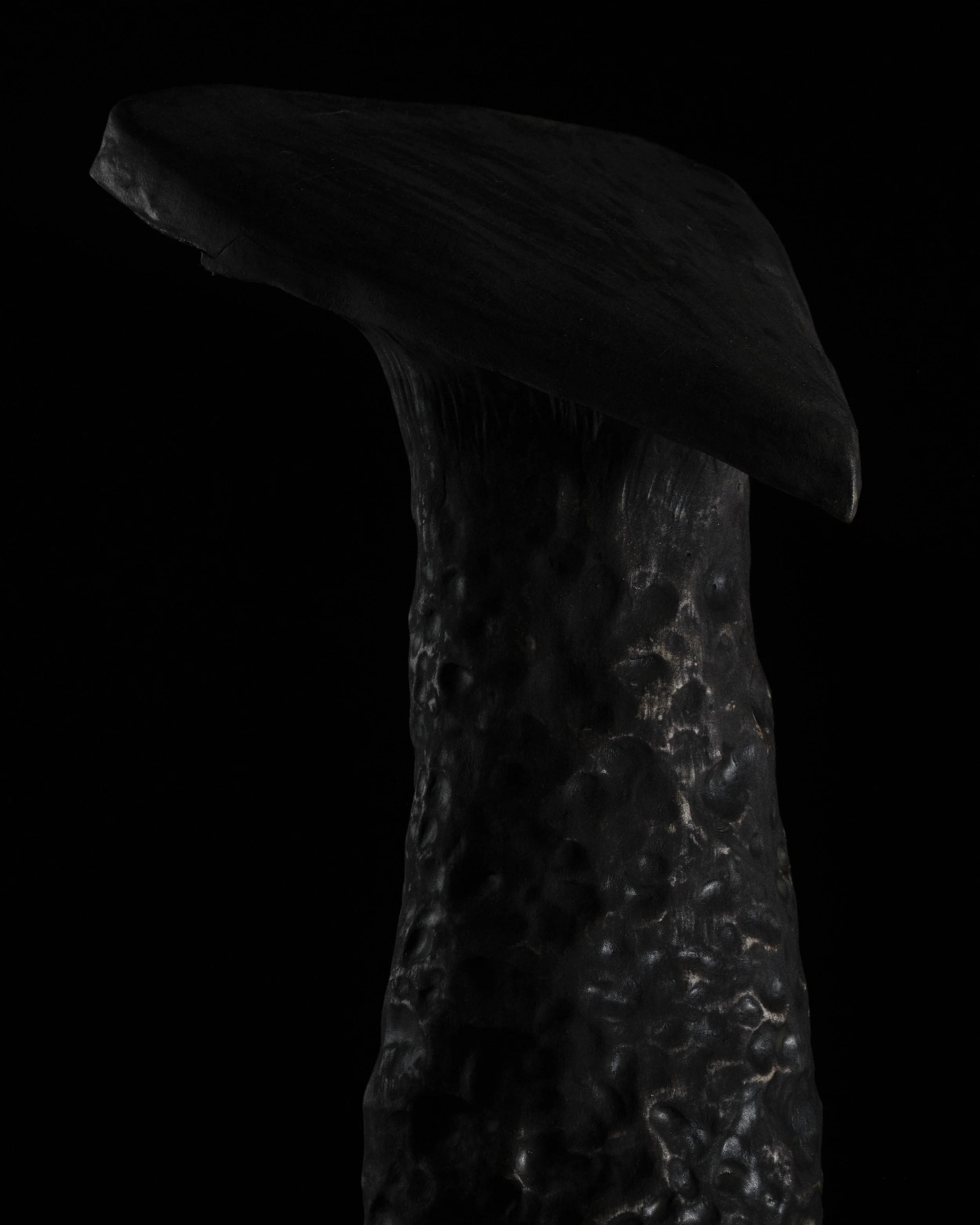 DSCF3885.jpg