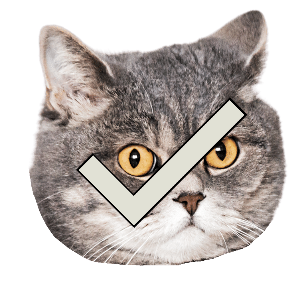 Close-up of a gray cat's face with yellow eyes, featuring a check mark overlaying part of the face.