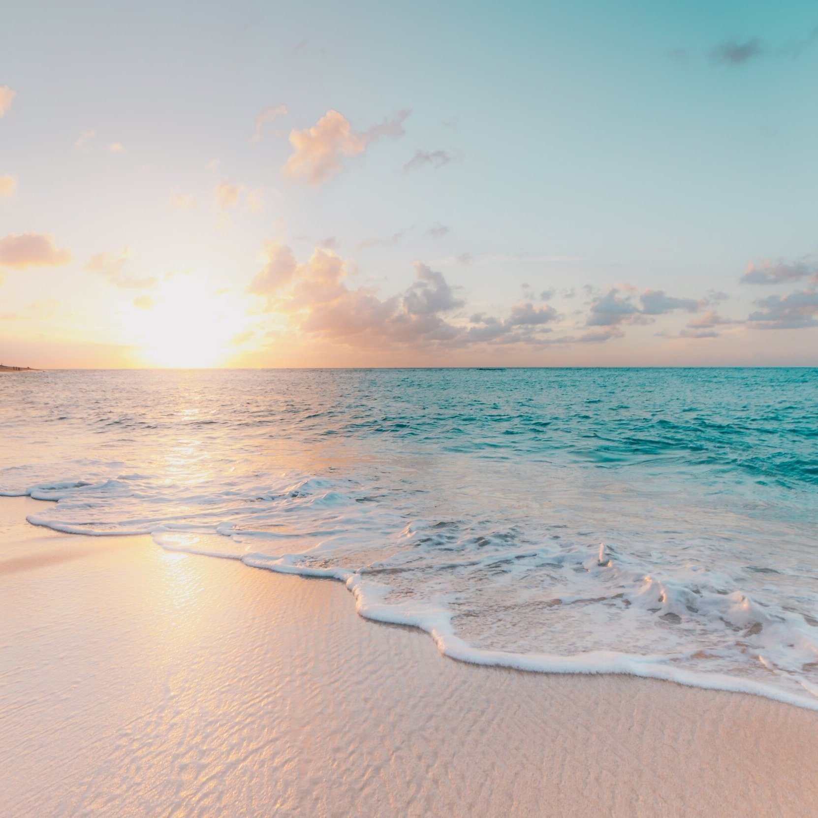 What Does a Trauma Psychotherapist Do? Navigating the Path to Healing