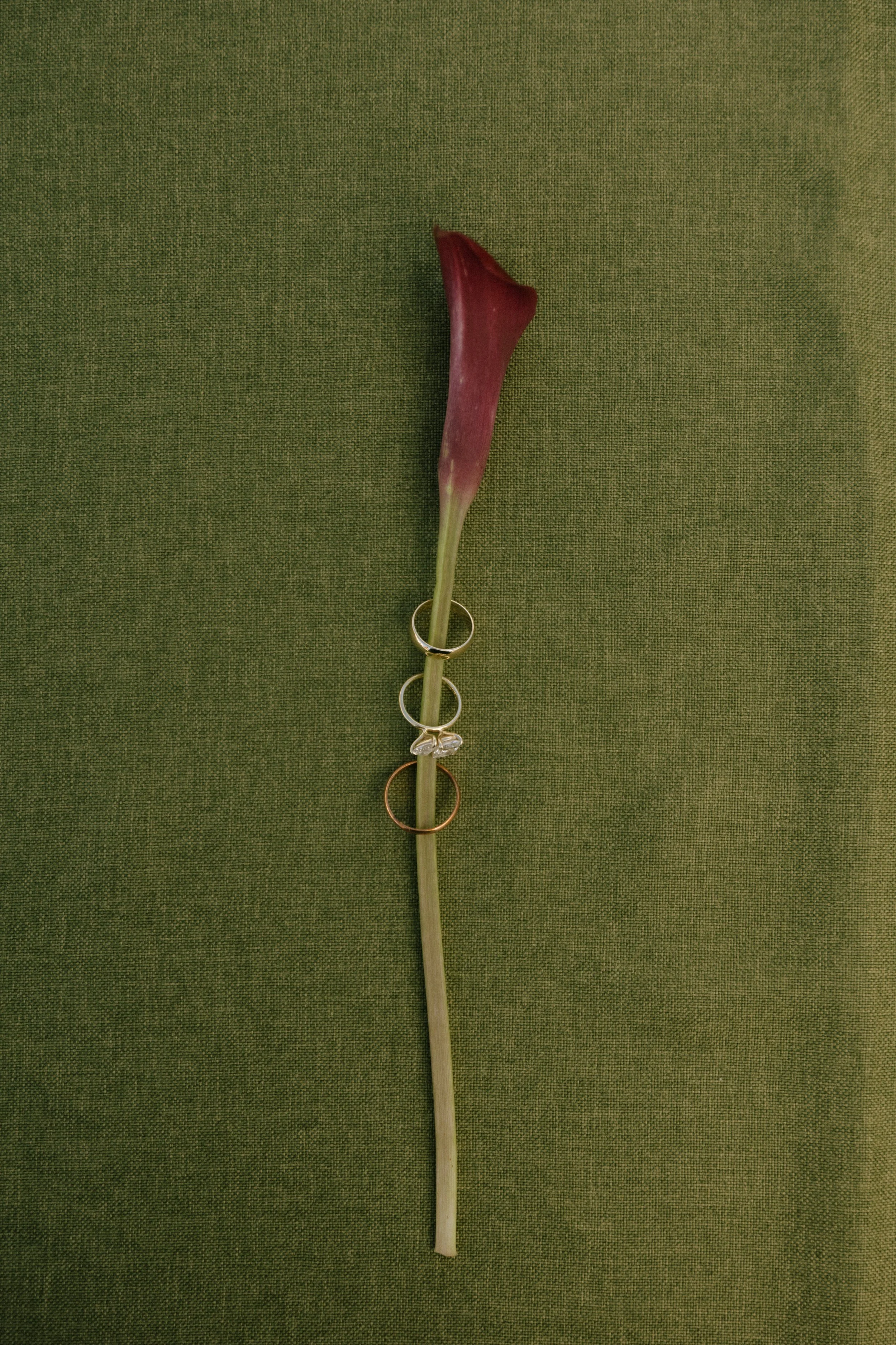 W&B Wedding Sneak Peaks-54.jpg