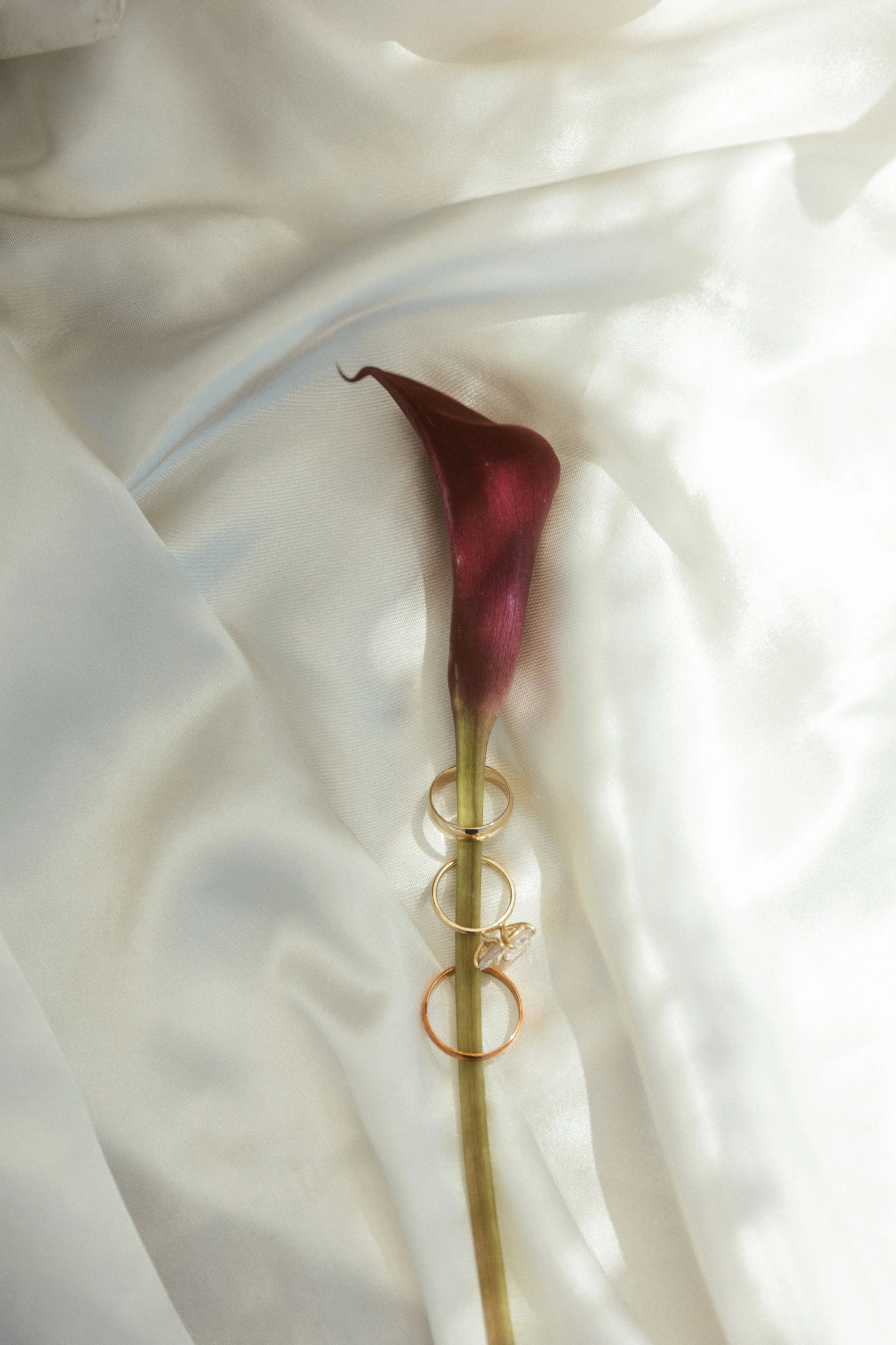 W&B Wedding Sneak Peaks-50.jpg