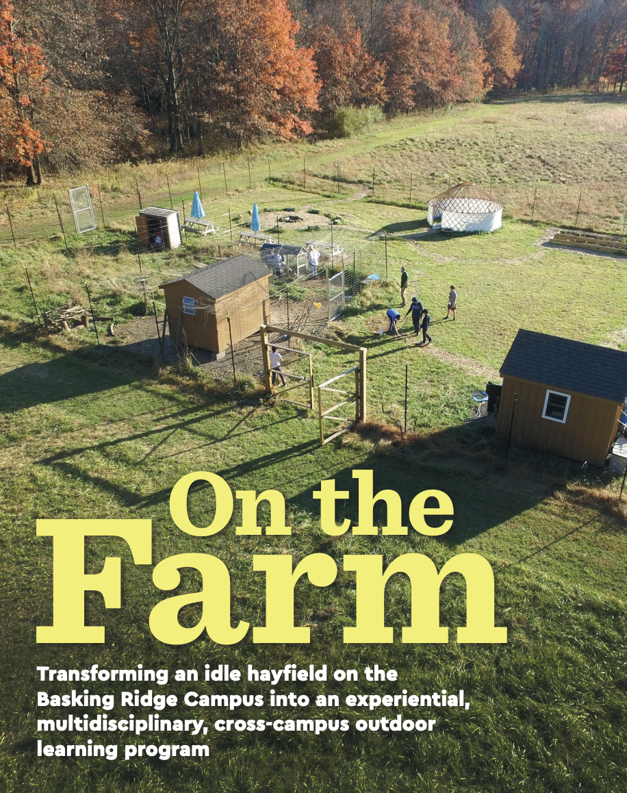 On the Farm cover final.png