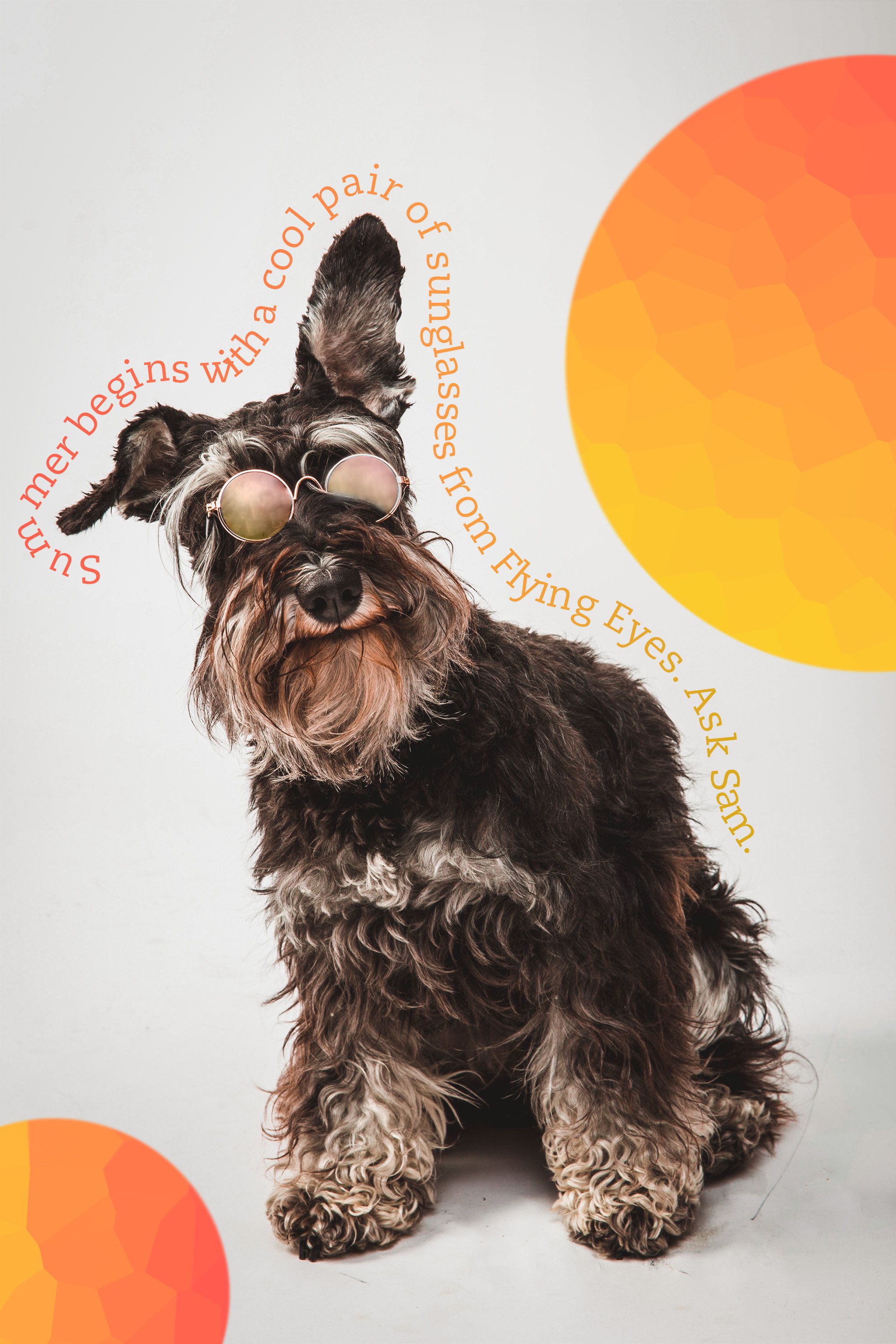 Sunglasses Ad.jpg