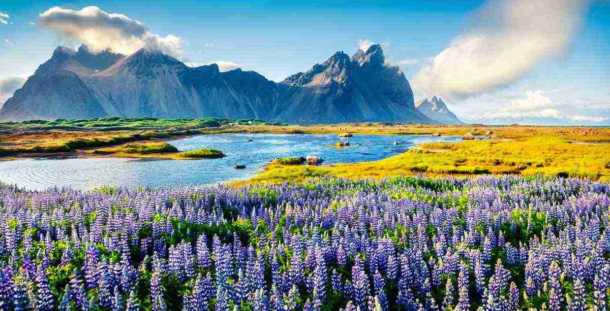Iceland