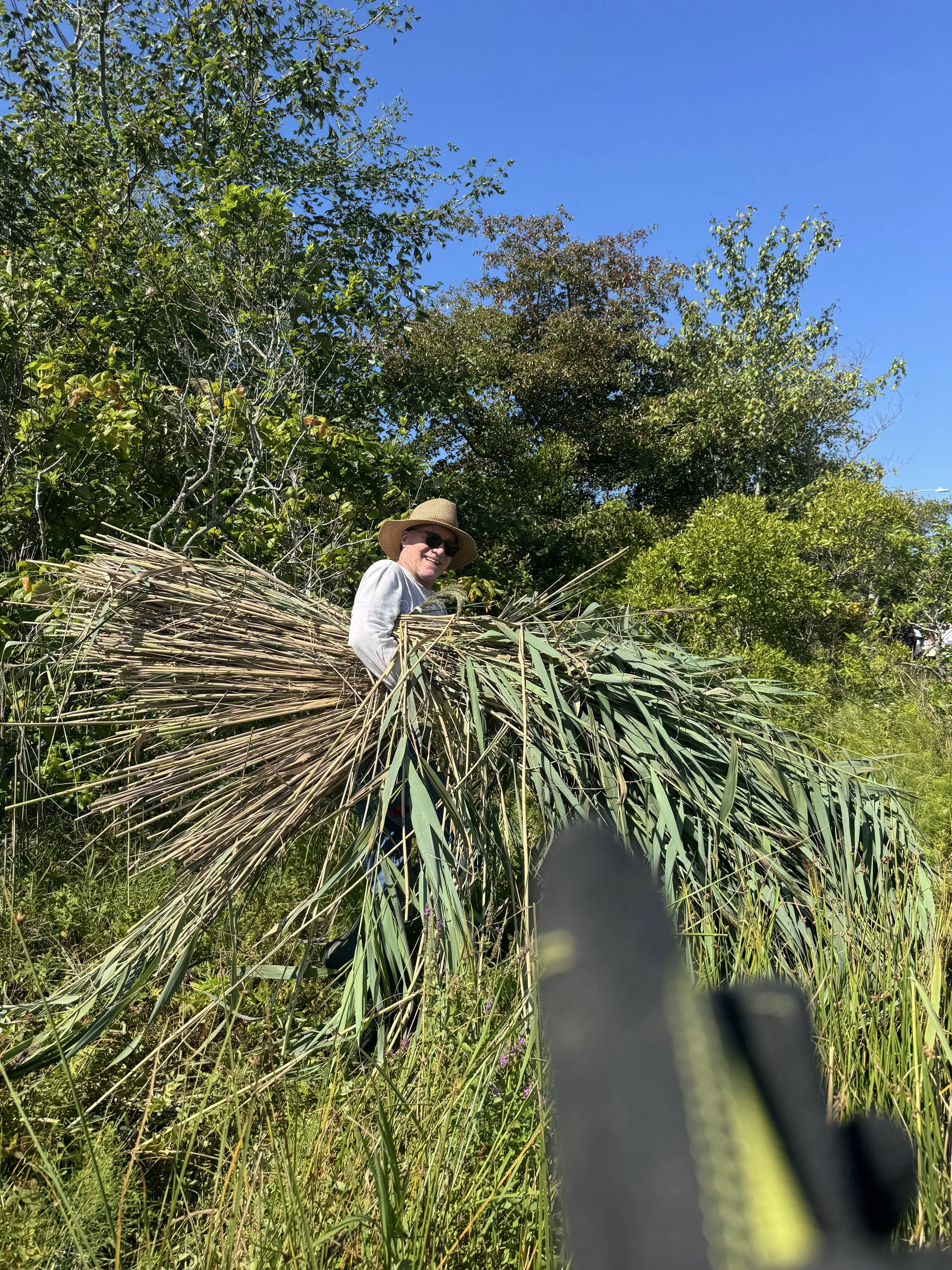 Great Pond Cleanup at Lake Court 