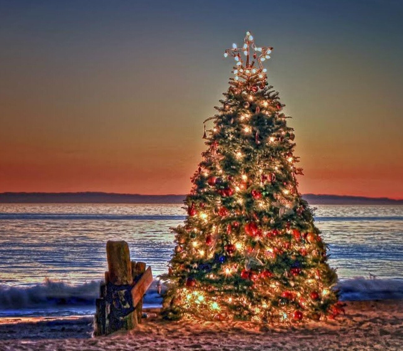 Holiday Ornament Craft, Cocktail Hour/Live Music, Tree Lighting