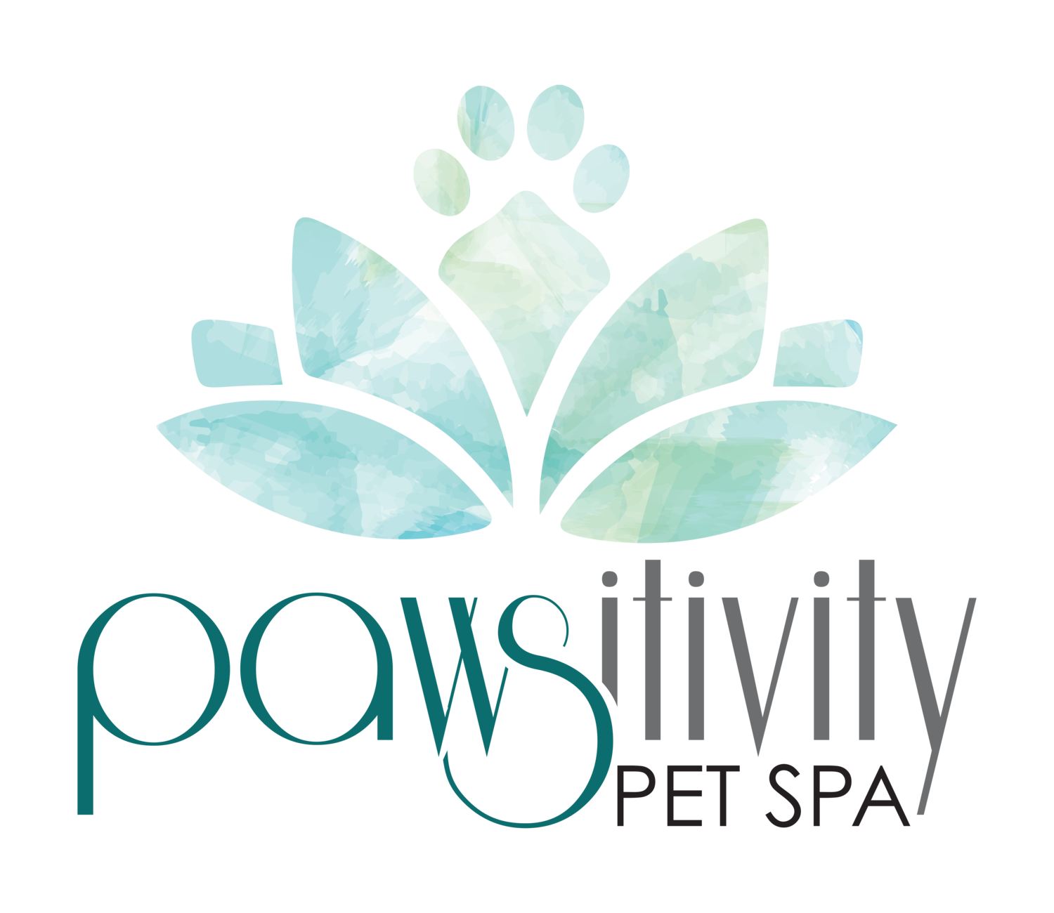 Pawsitivity Pet Spa