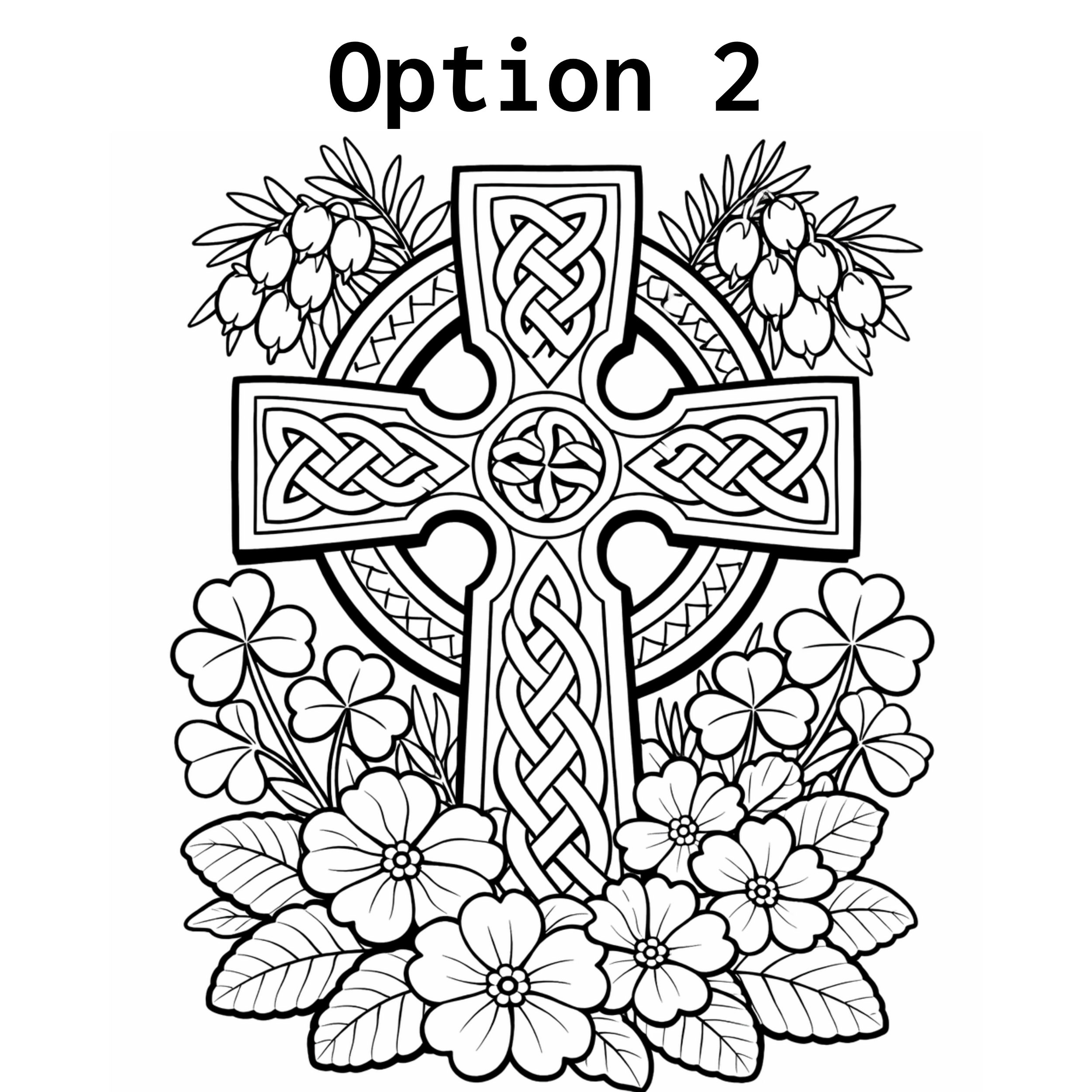 Option 1(1).png