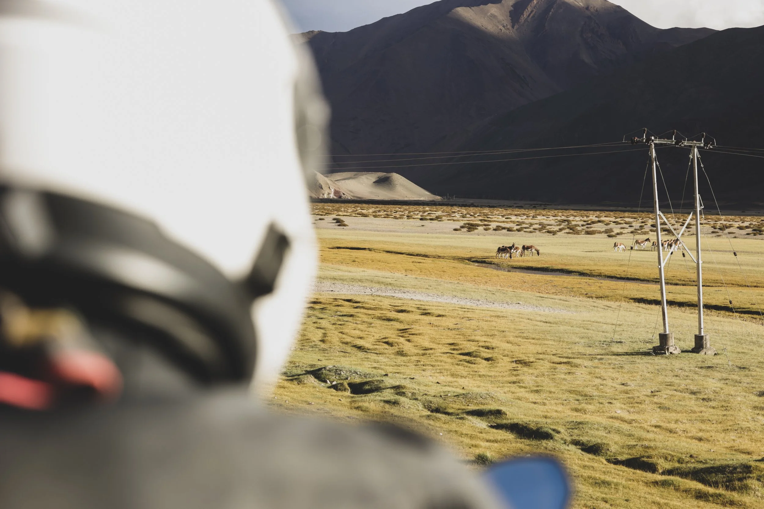 BMW_Safari-1262.jpg