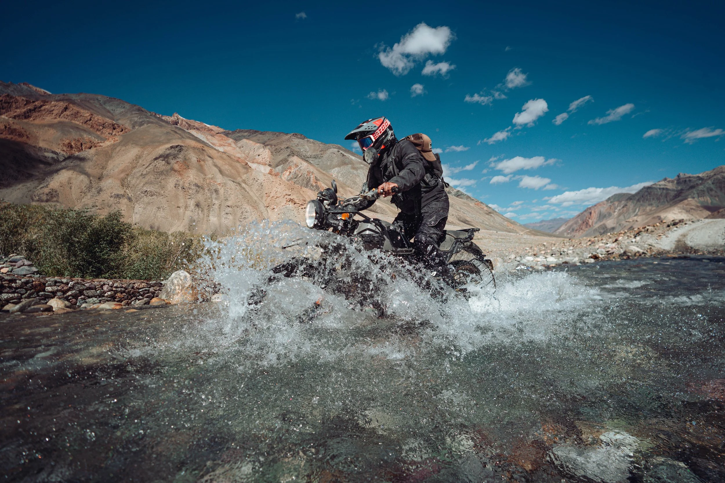 Wild Zanskar