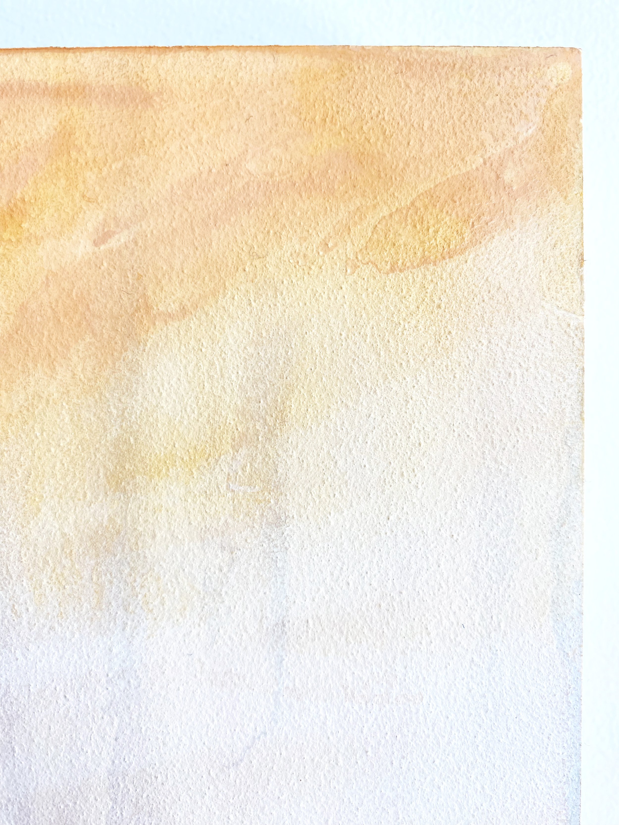 PaleSeptember.detail3.jpg