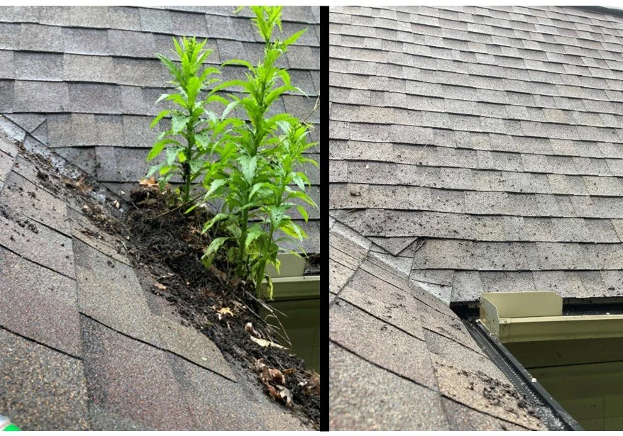 Before and After 5.jpg