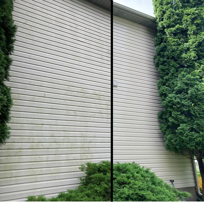 Before and After 3.jpg