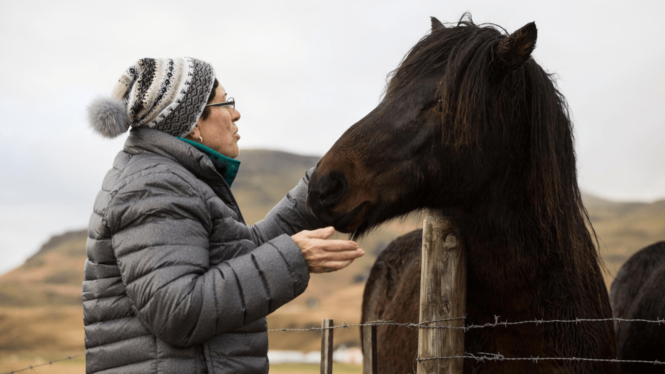 Iris_Iceland with Horse.png