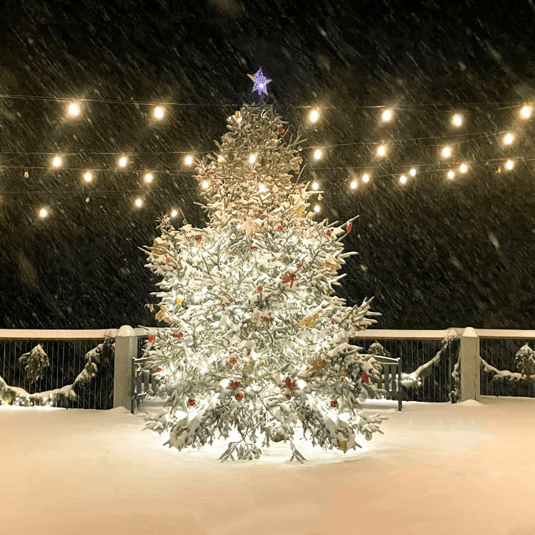 Narrowsburg Tree Lighting