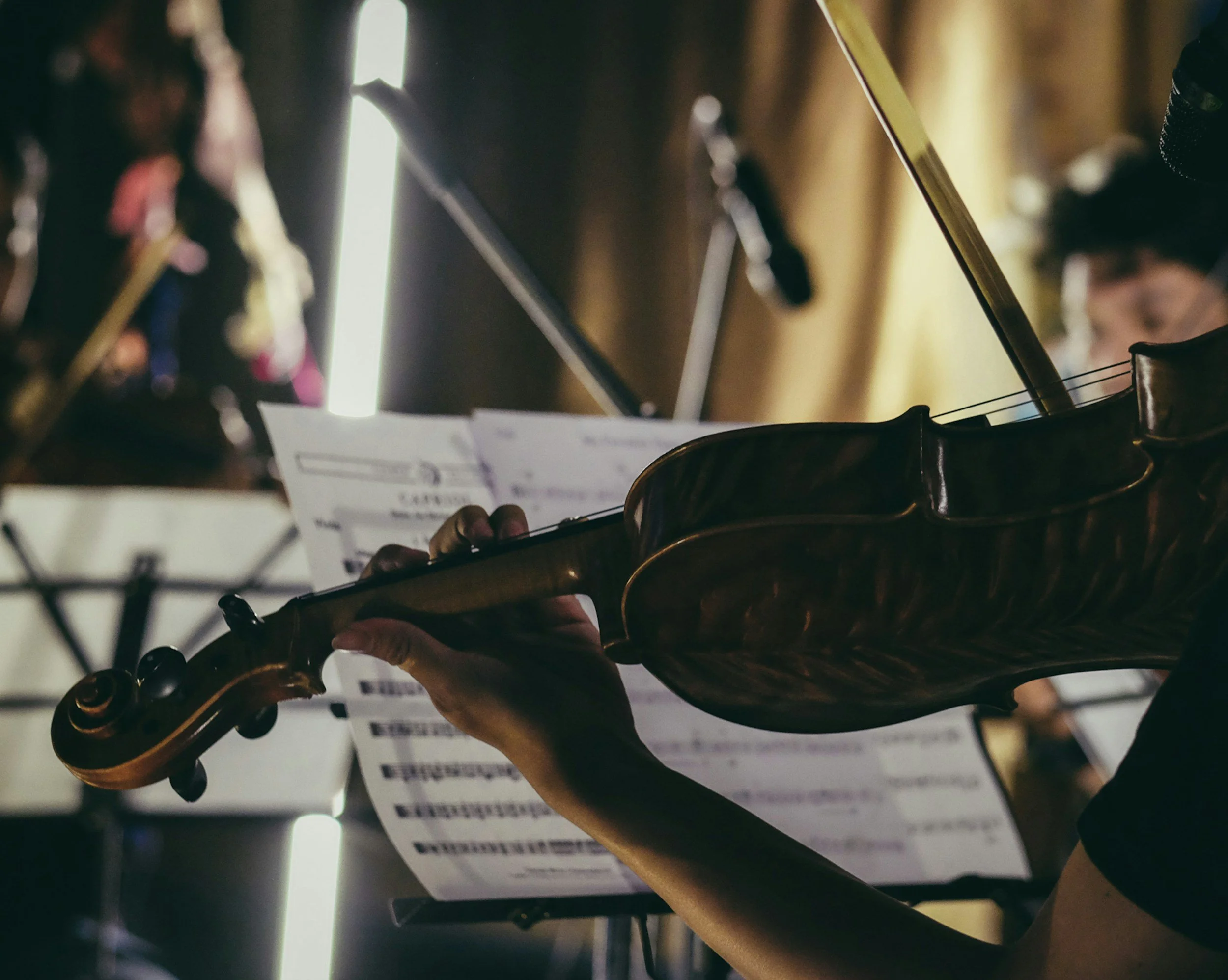 Fall Concert
