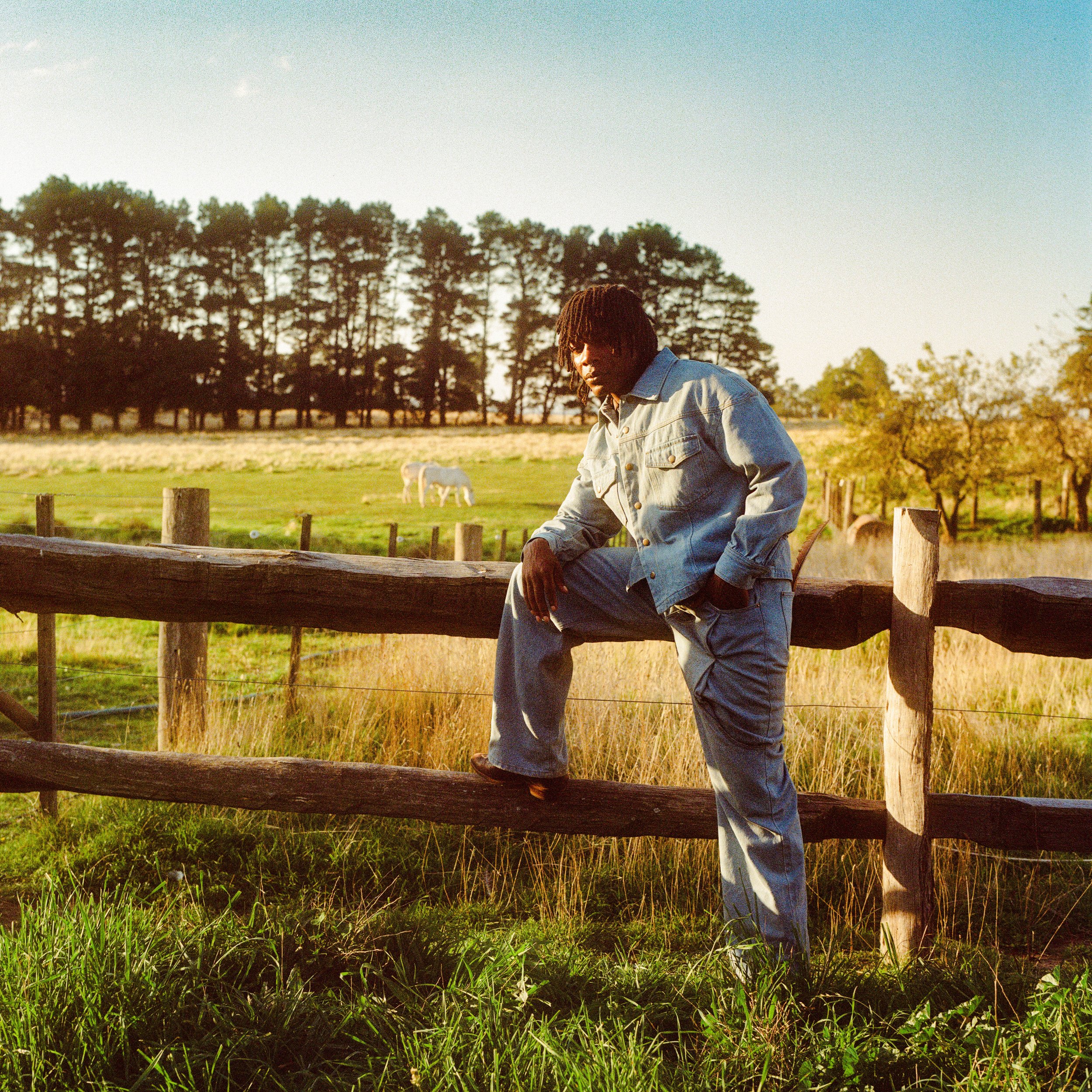 L4. Twisted Ranch - High Res - 049.jpg