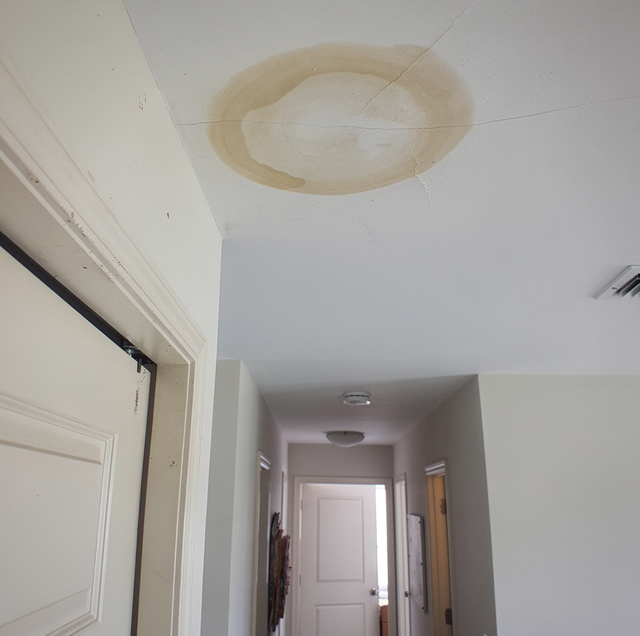 The Early Warning Signs of a Roof Leak Most Homeowners Miss
