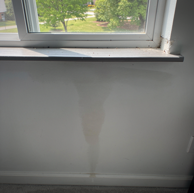 Why Do New Windows Leak at the Sill? The Missing Tray
