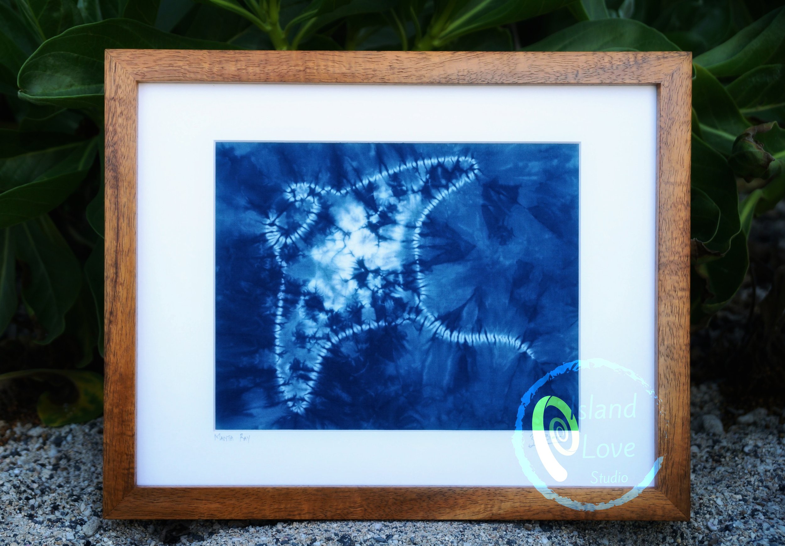 Manta w'watermark.jpeg