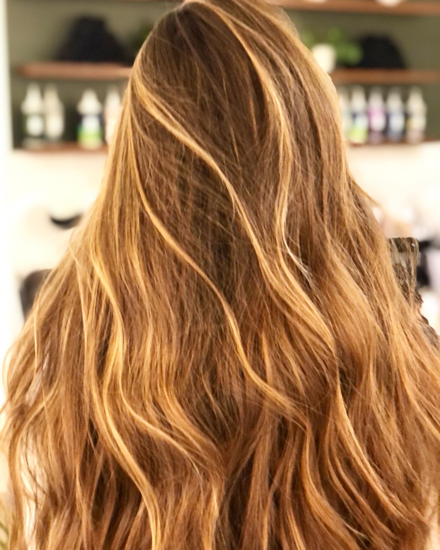 Lived in and LONG! First set of hand painted Highlights  for this STRONG, LONG, THICK, gorgeous hair! Application only took 35 minutes thanks to learning from @sarahgoldsborough. PLACEMENT is everything!#handpaintedhighlights #hairpainters #balayage 