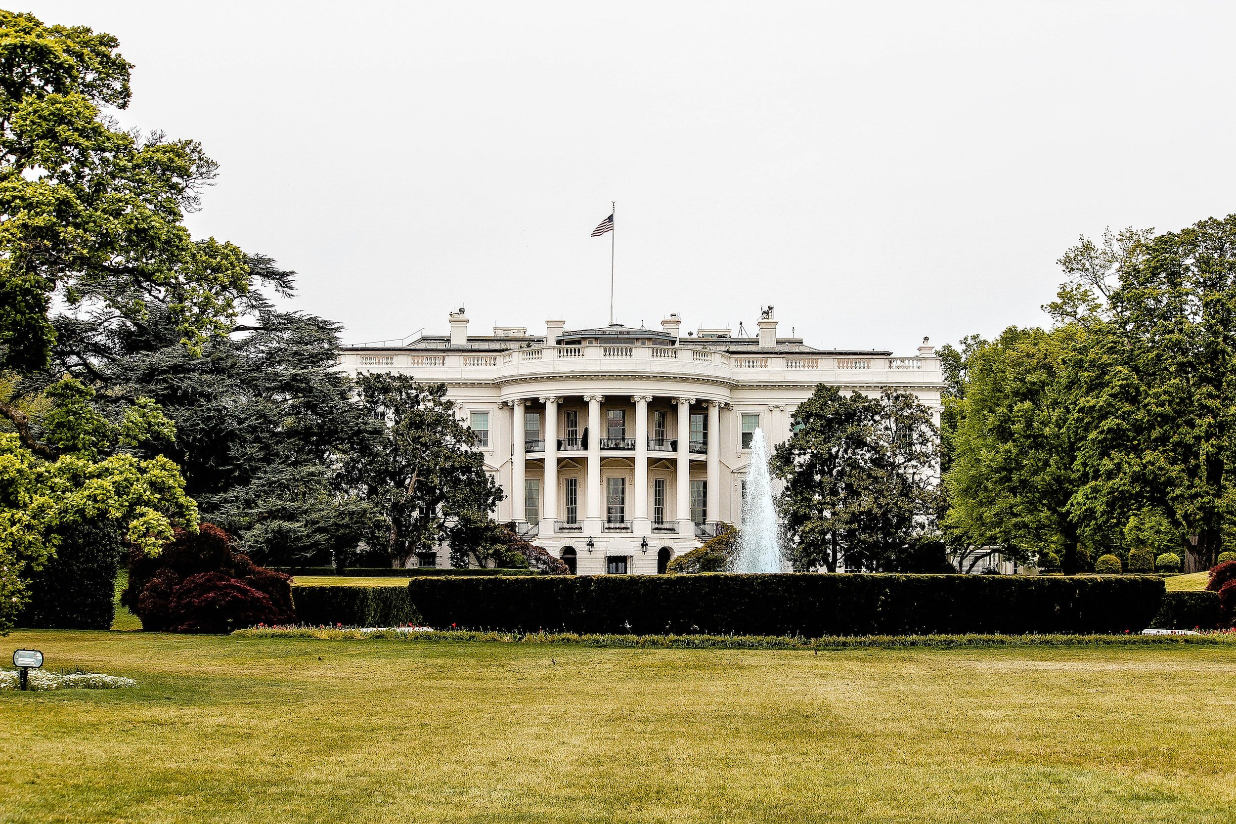 Explainer: Understanding The Executive Branch
